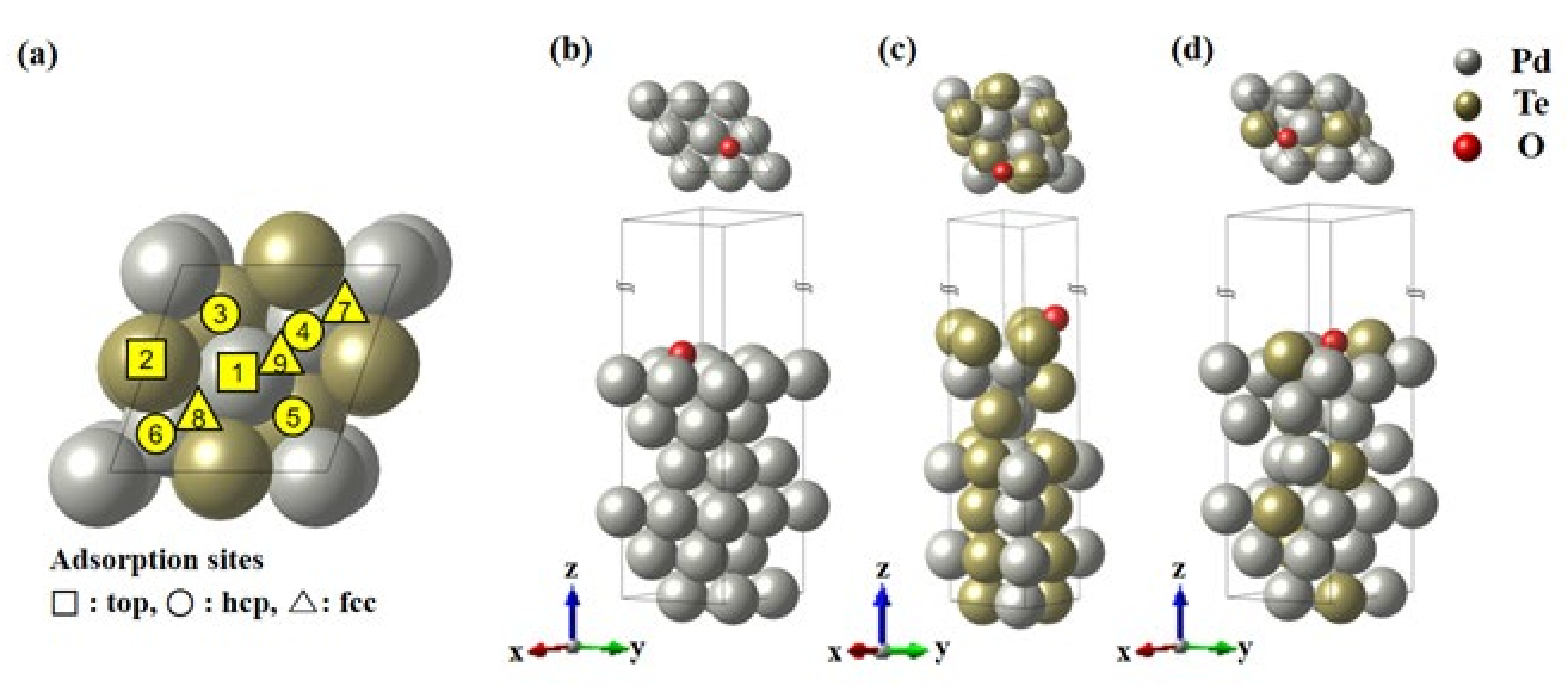 Nanomaterials 12 03607 g010
