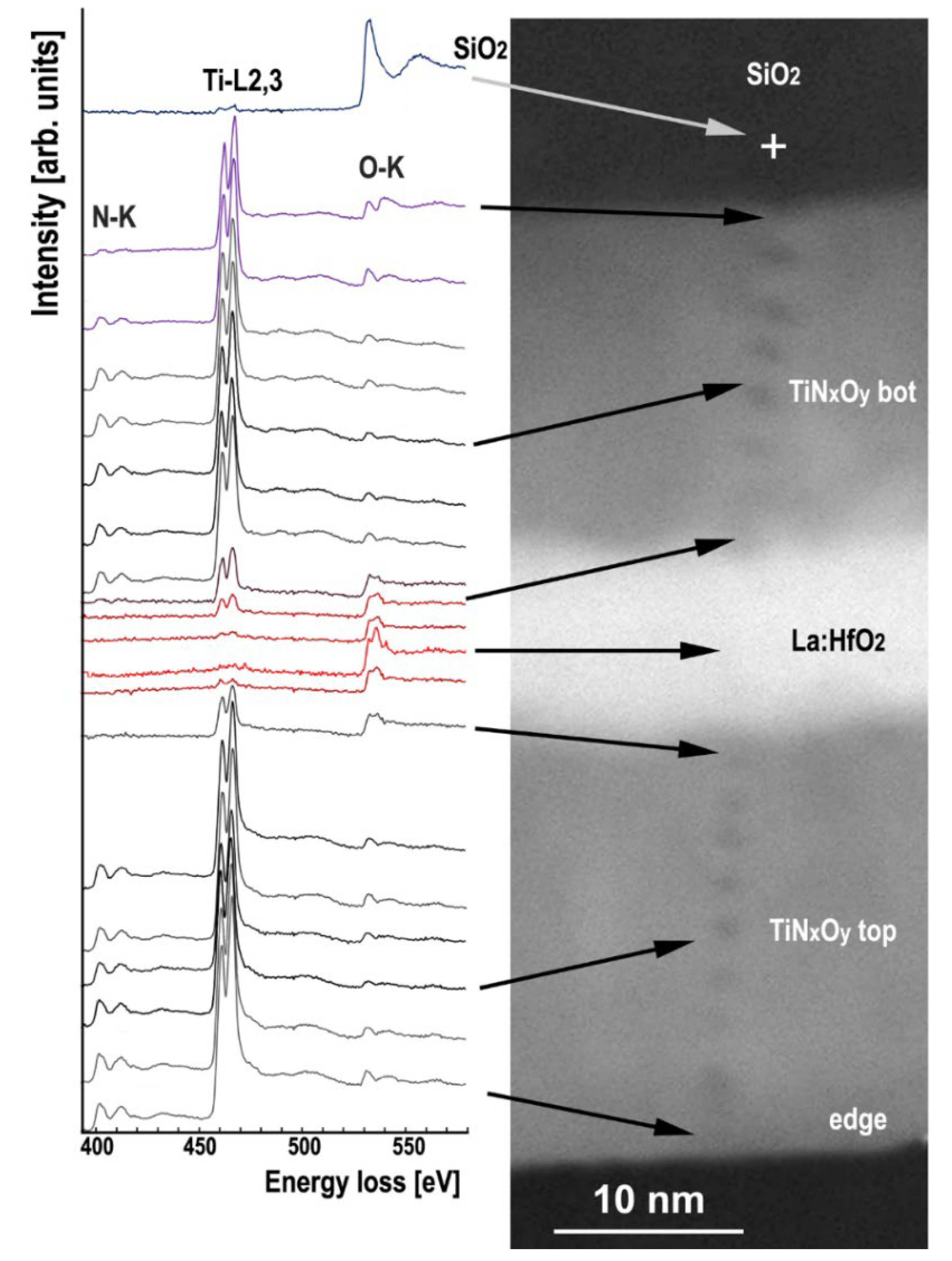 Nanomaterials 12 03608 g004