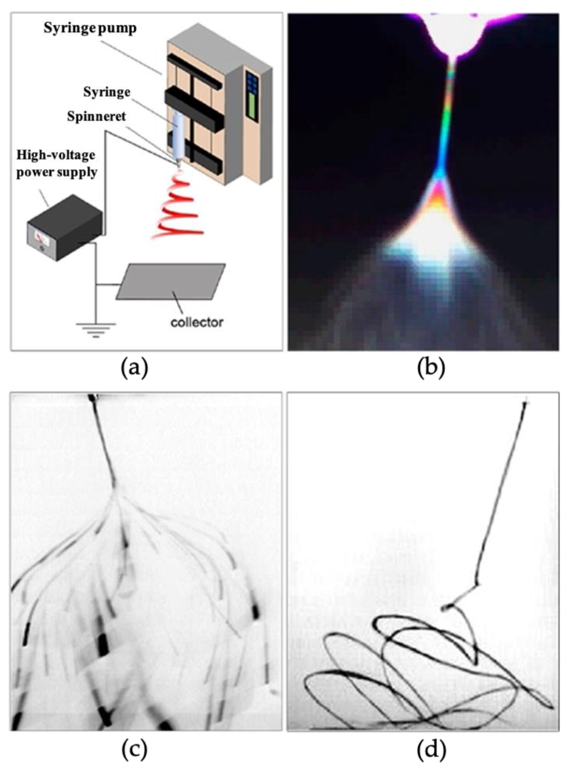 Nanomaterials 12 03611 g004