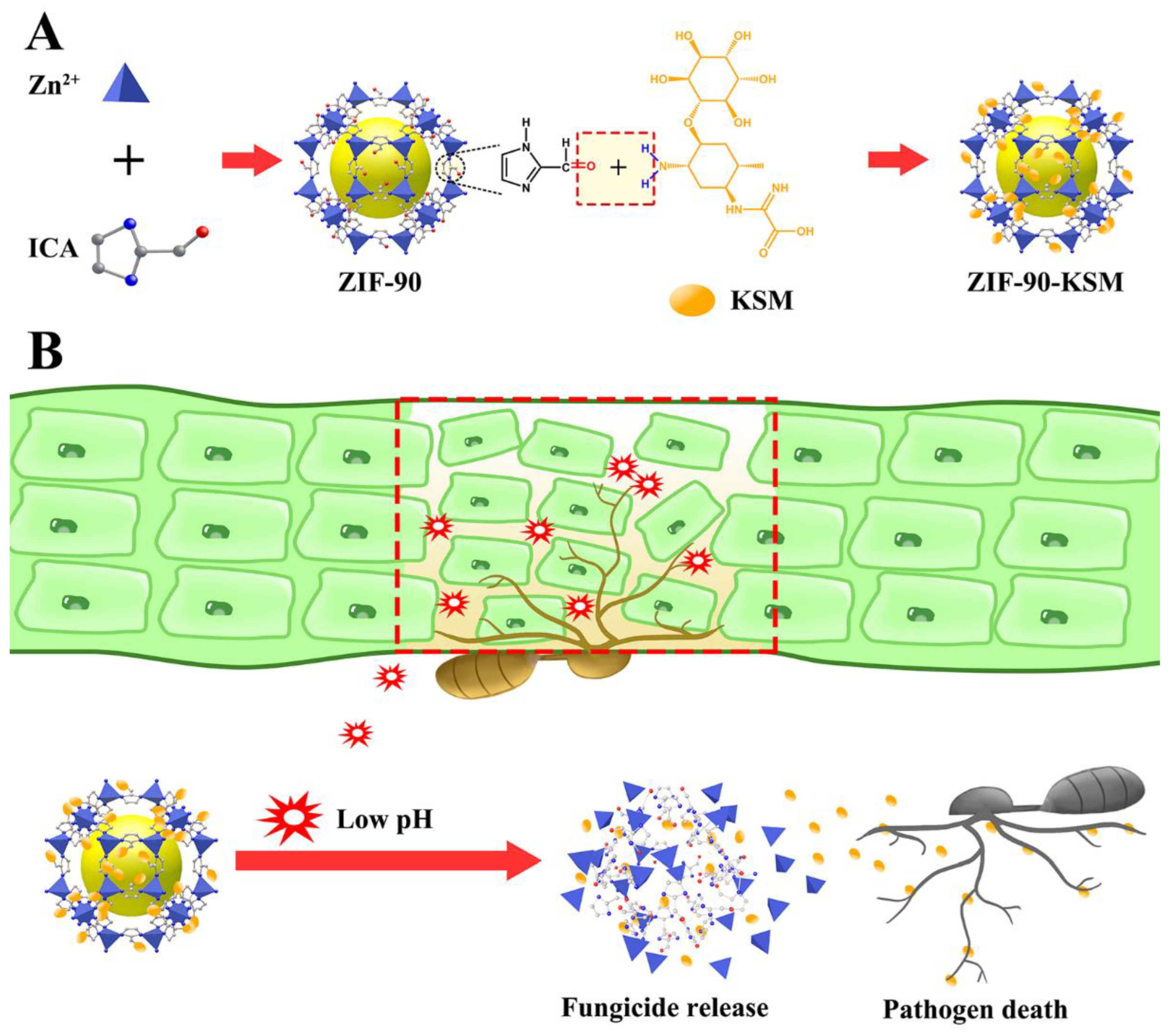 Nanomaterials 12 03622 g001