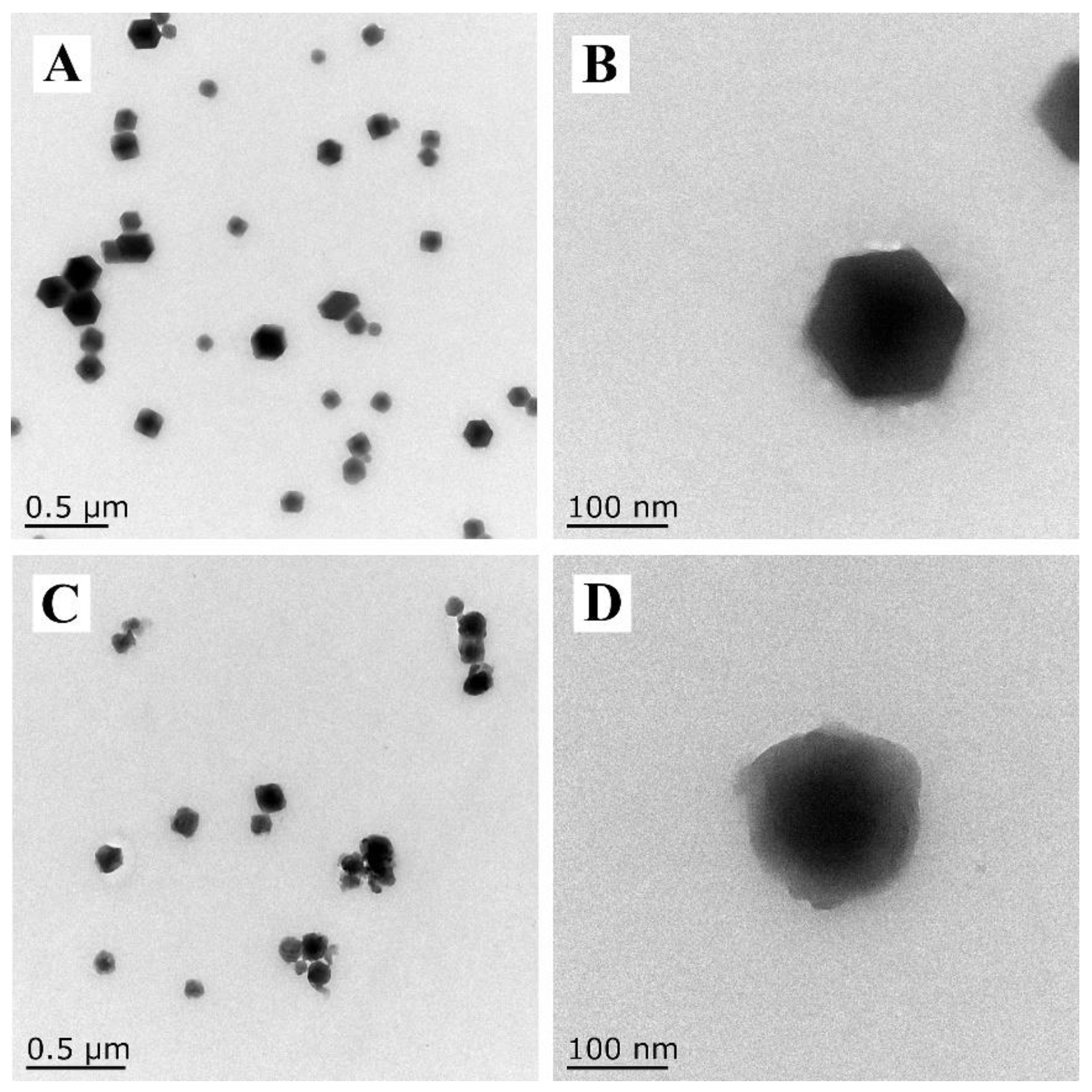 Nanomaterials 12 03622 g002