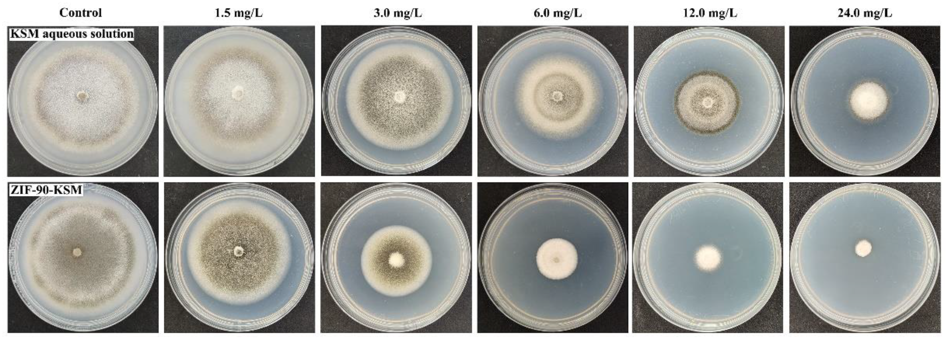 Nanomaterials 12 03622 g006