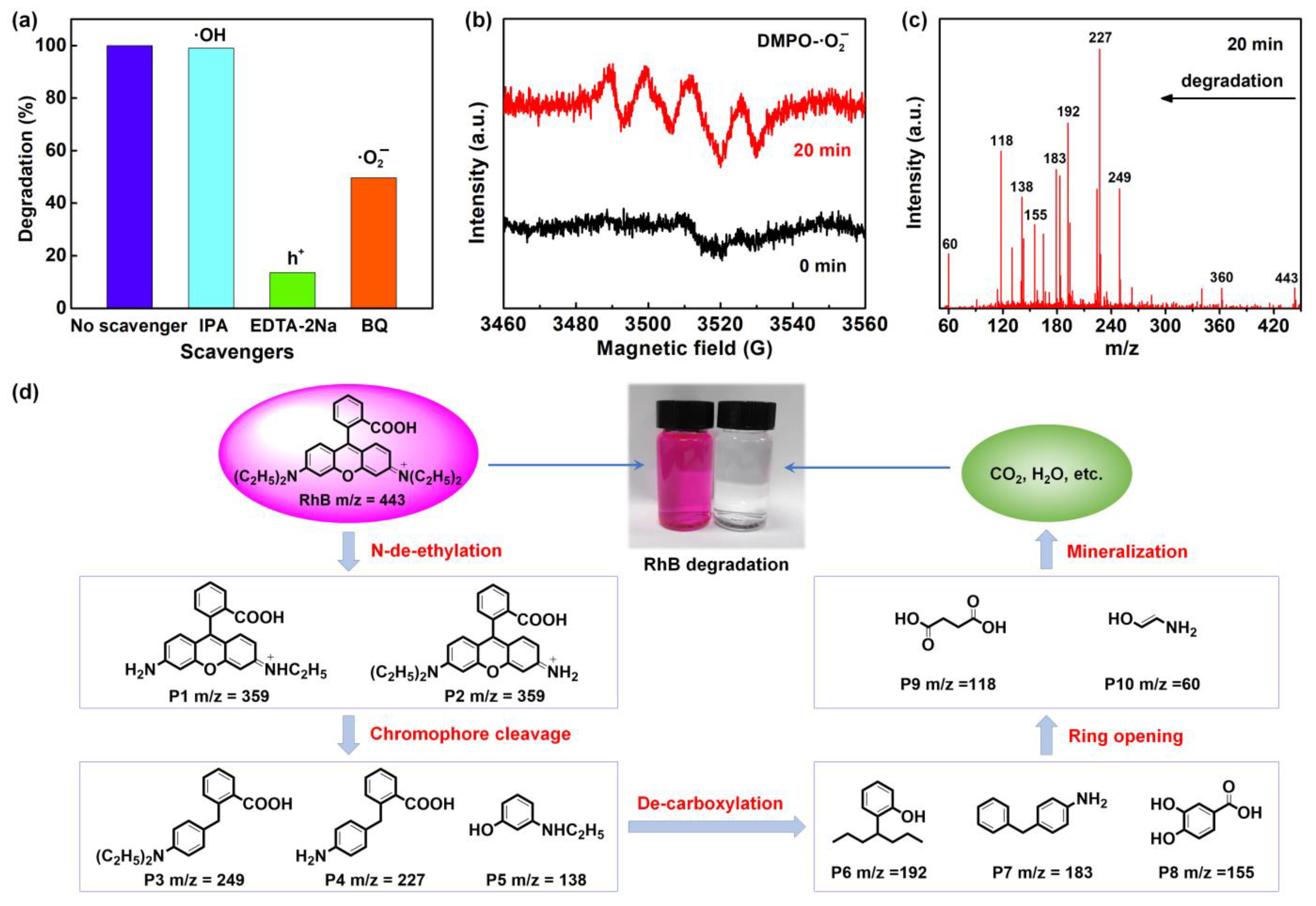 Nanomaterials 12 03631 g007