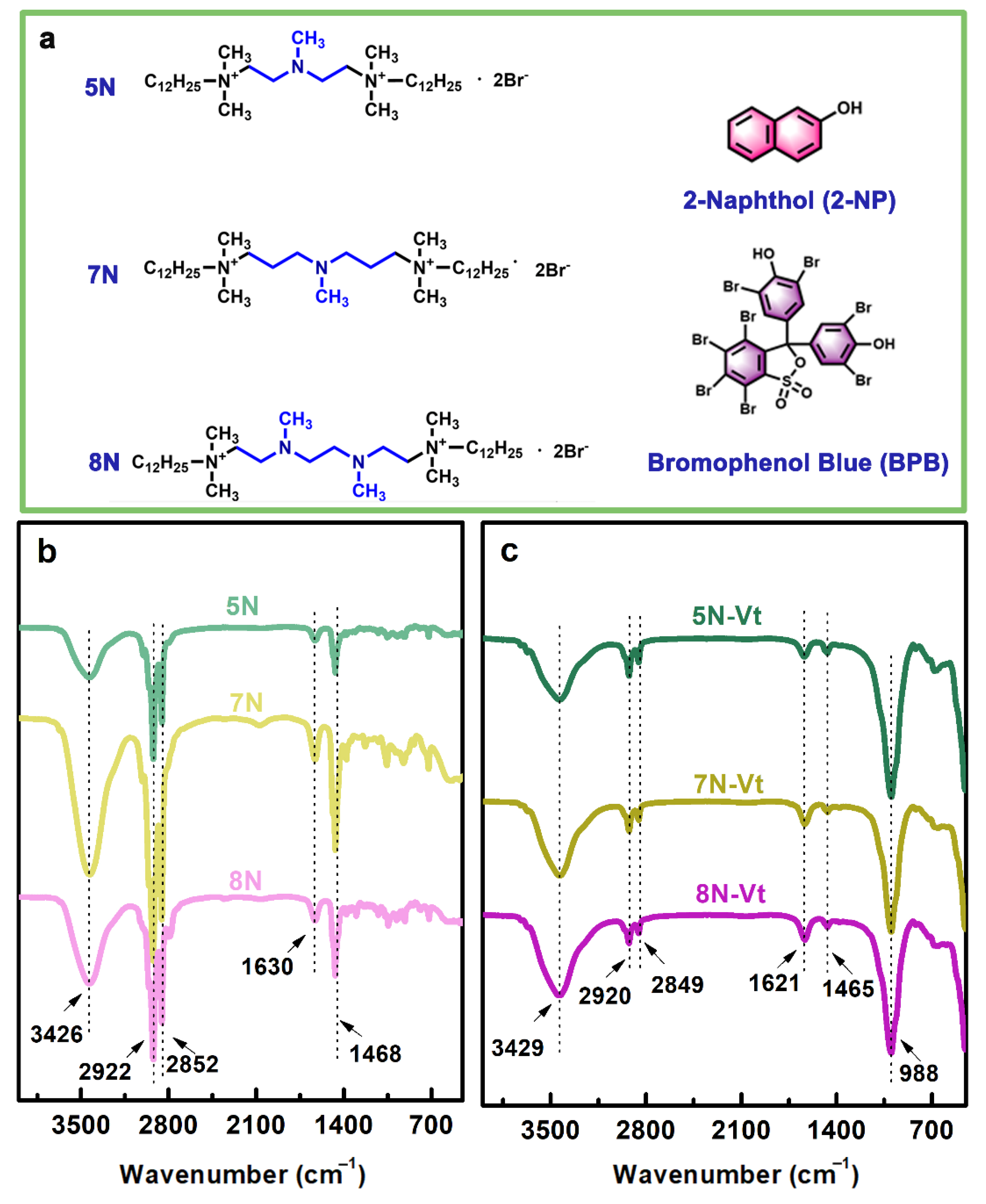 Nanomaterials 12 03636 g001