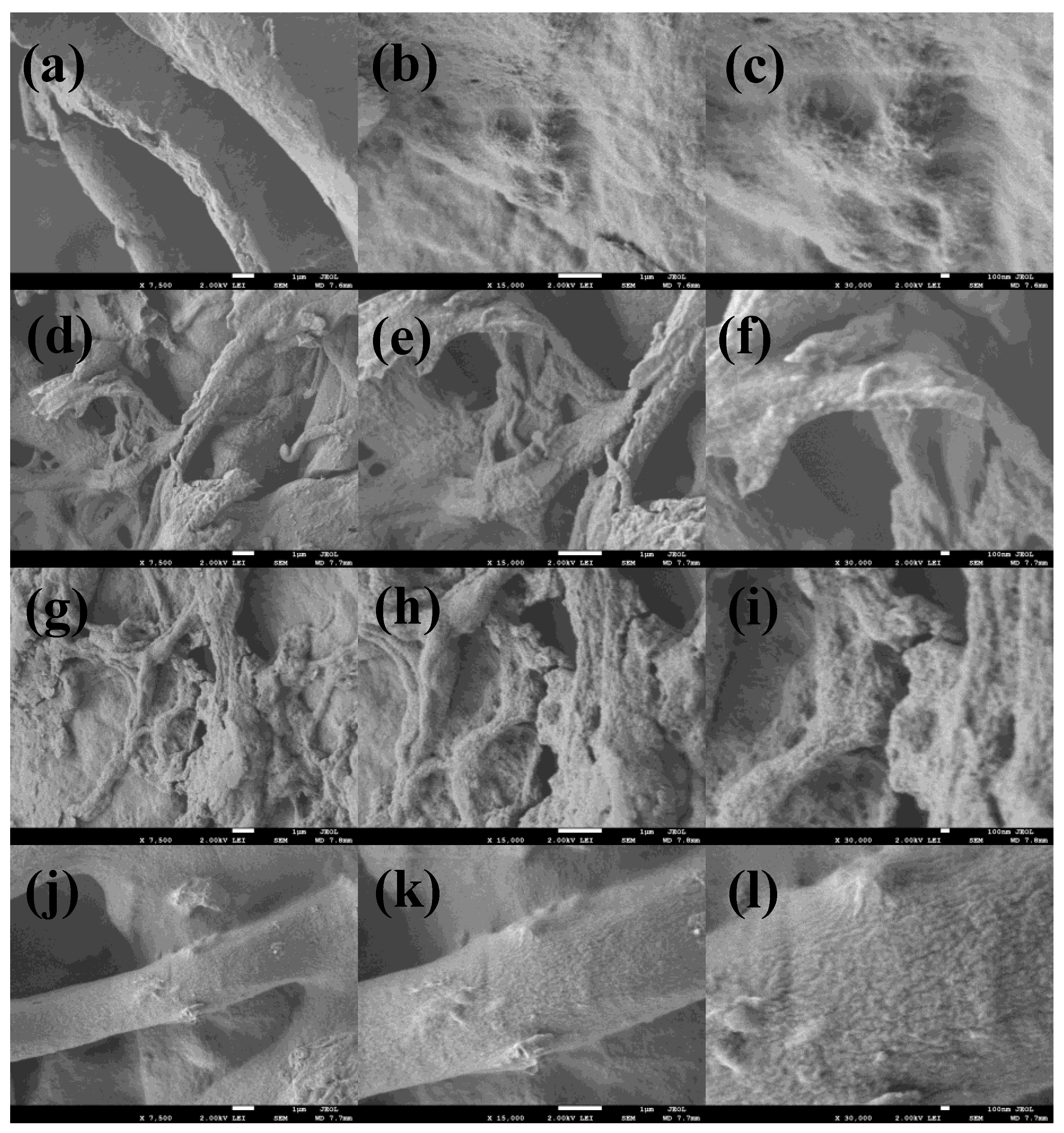 Nanomaterials 12 03642 g002