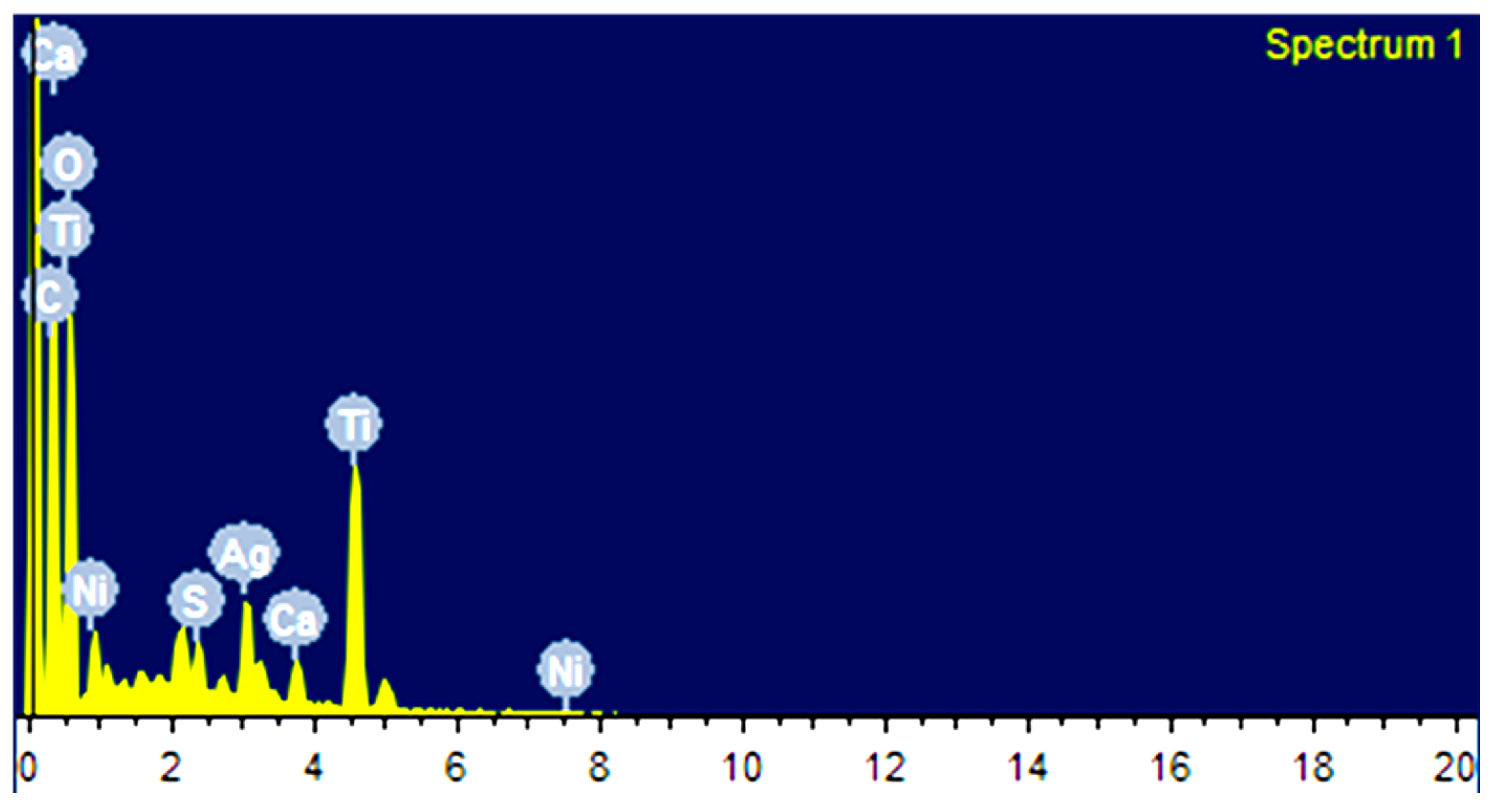 Nanomaterials 12 03642 g003