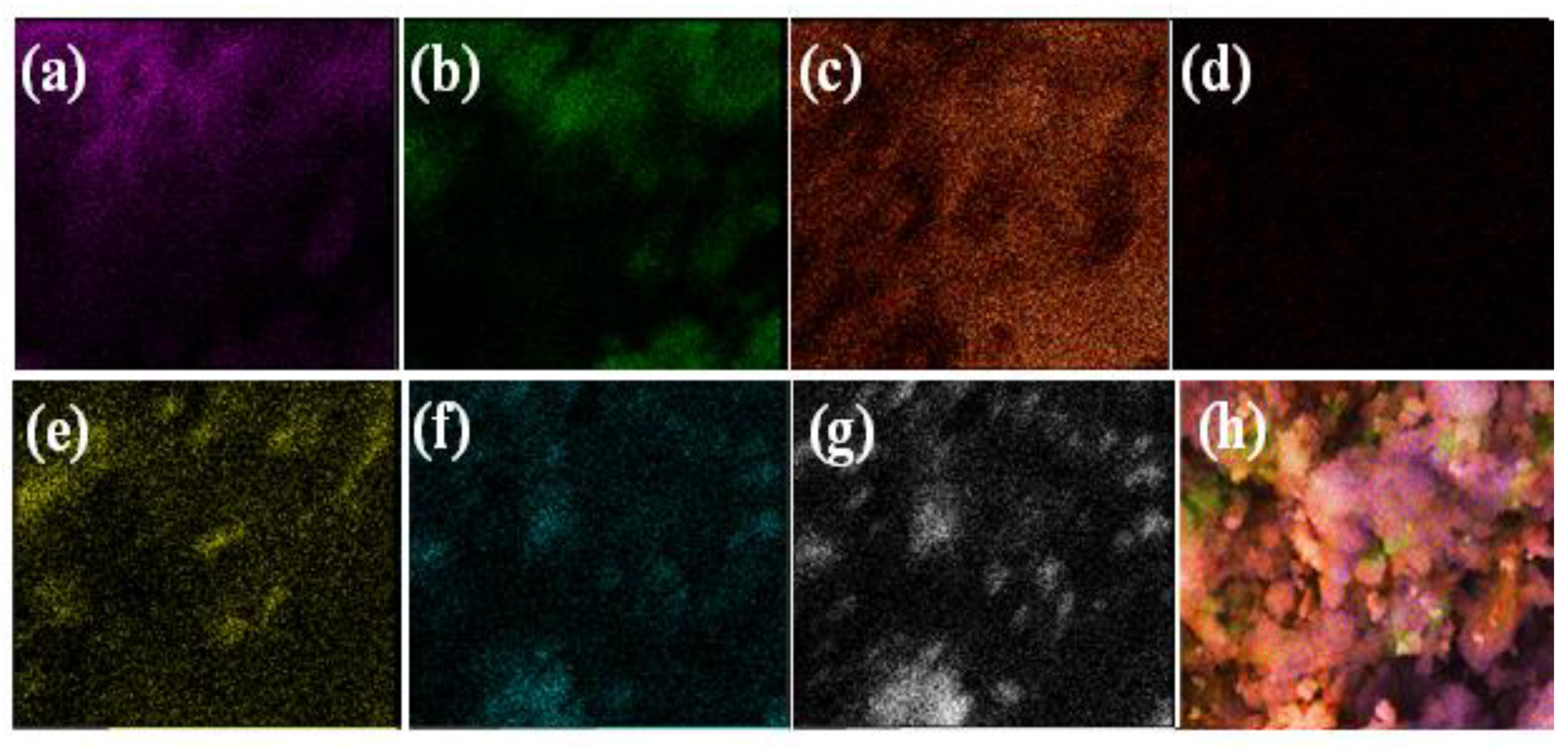 Nanomaterials 12 03642 g004