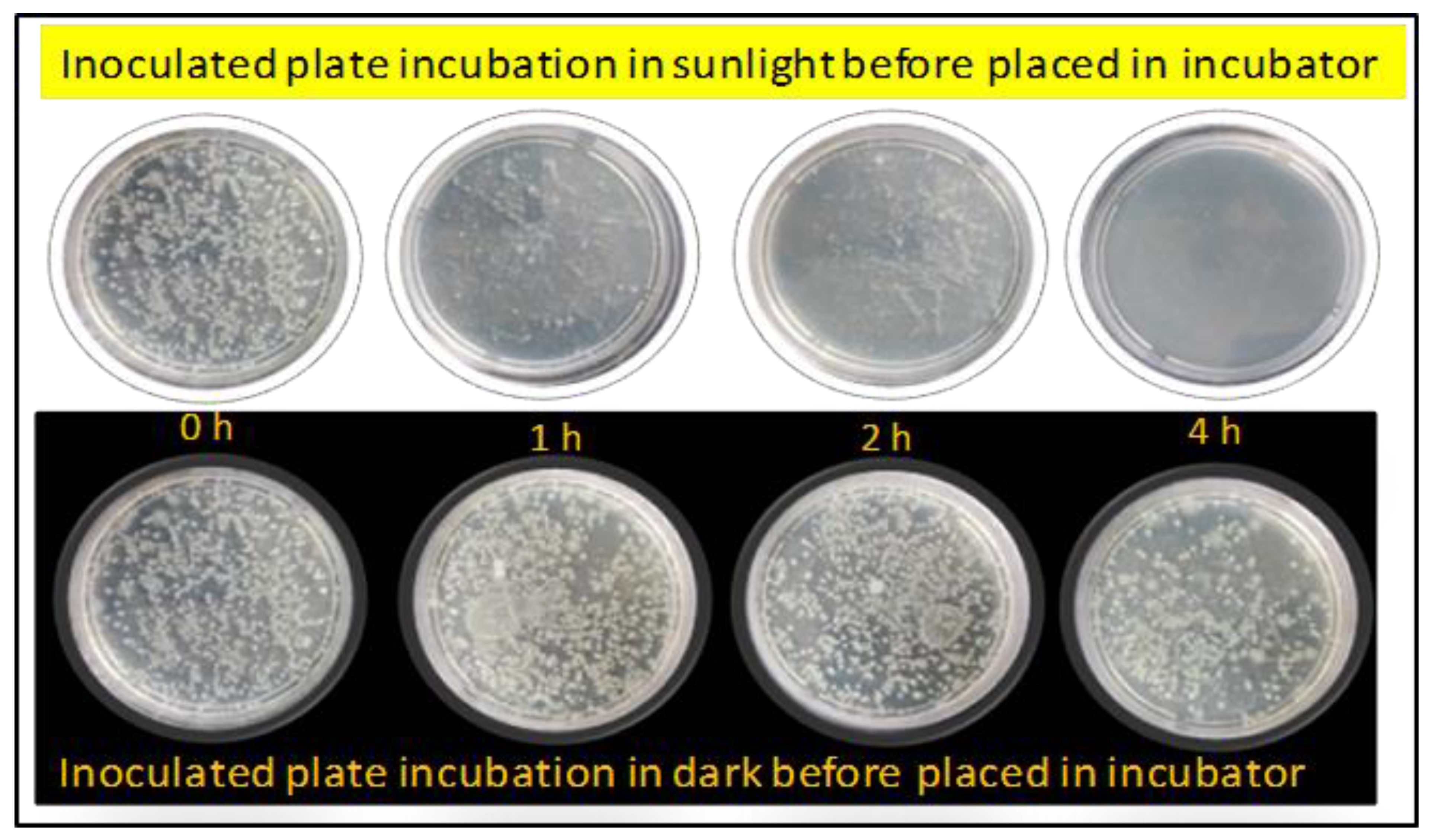 Nanomaterials 12 03642 g013