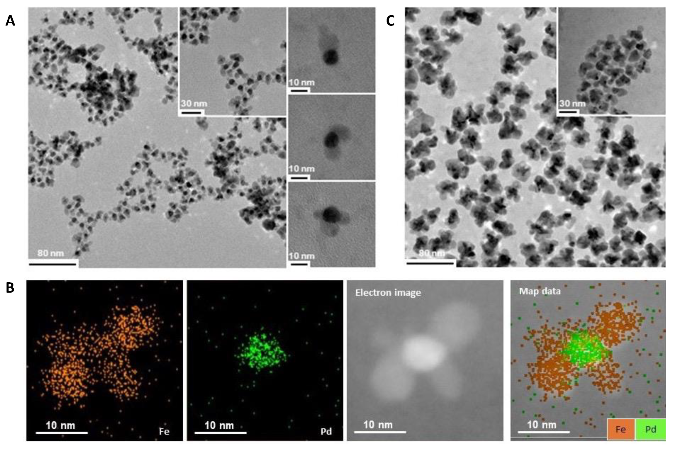 Nanomaterials 12 03649 g001