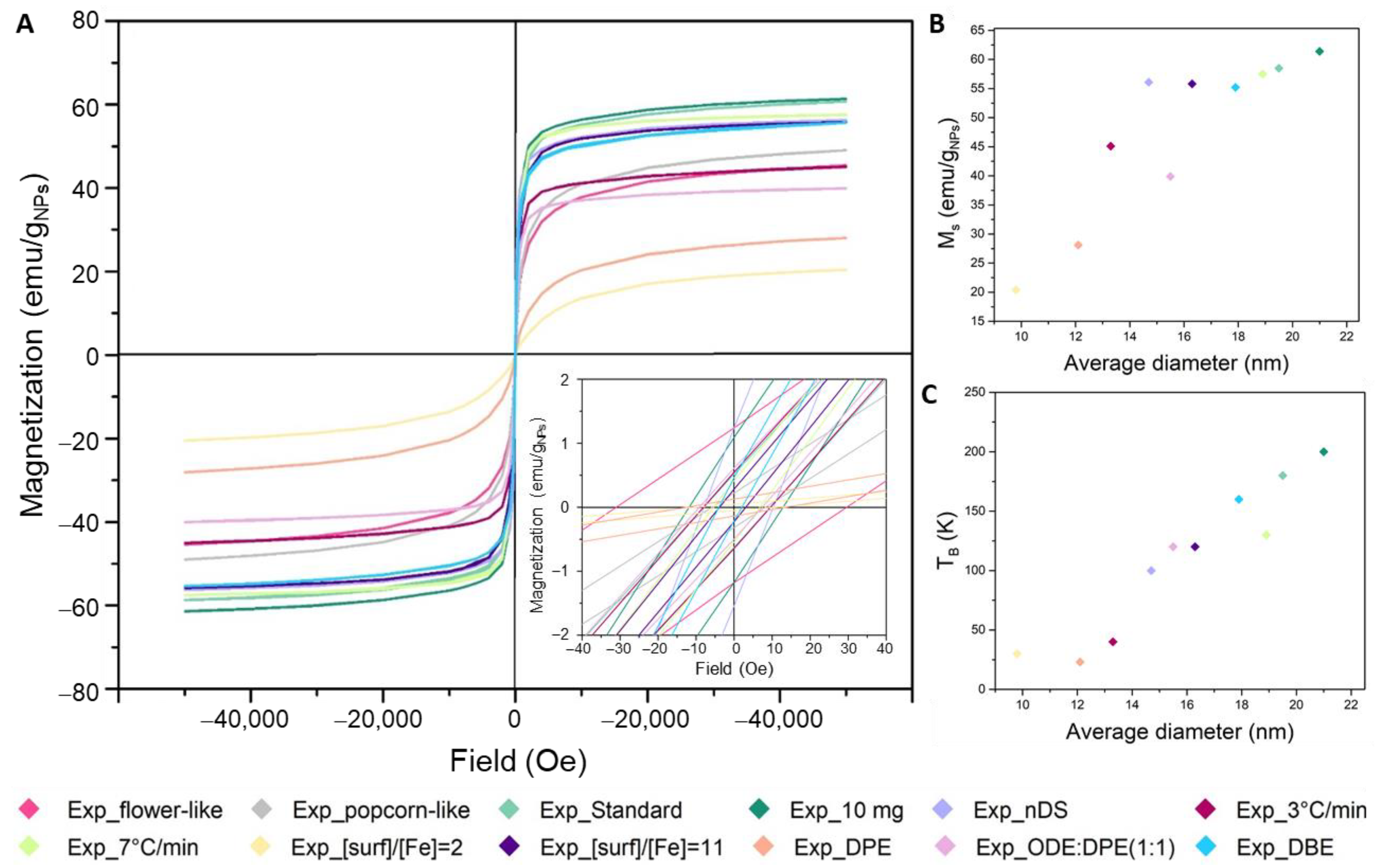 Nanomaterials 12 03649 g003