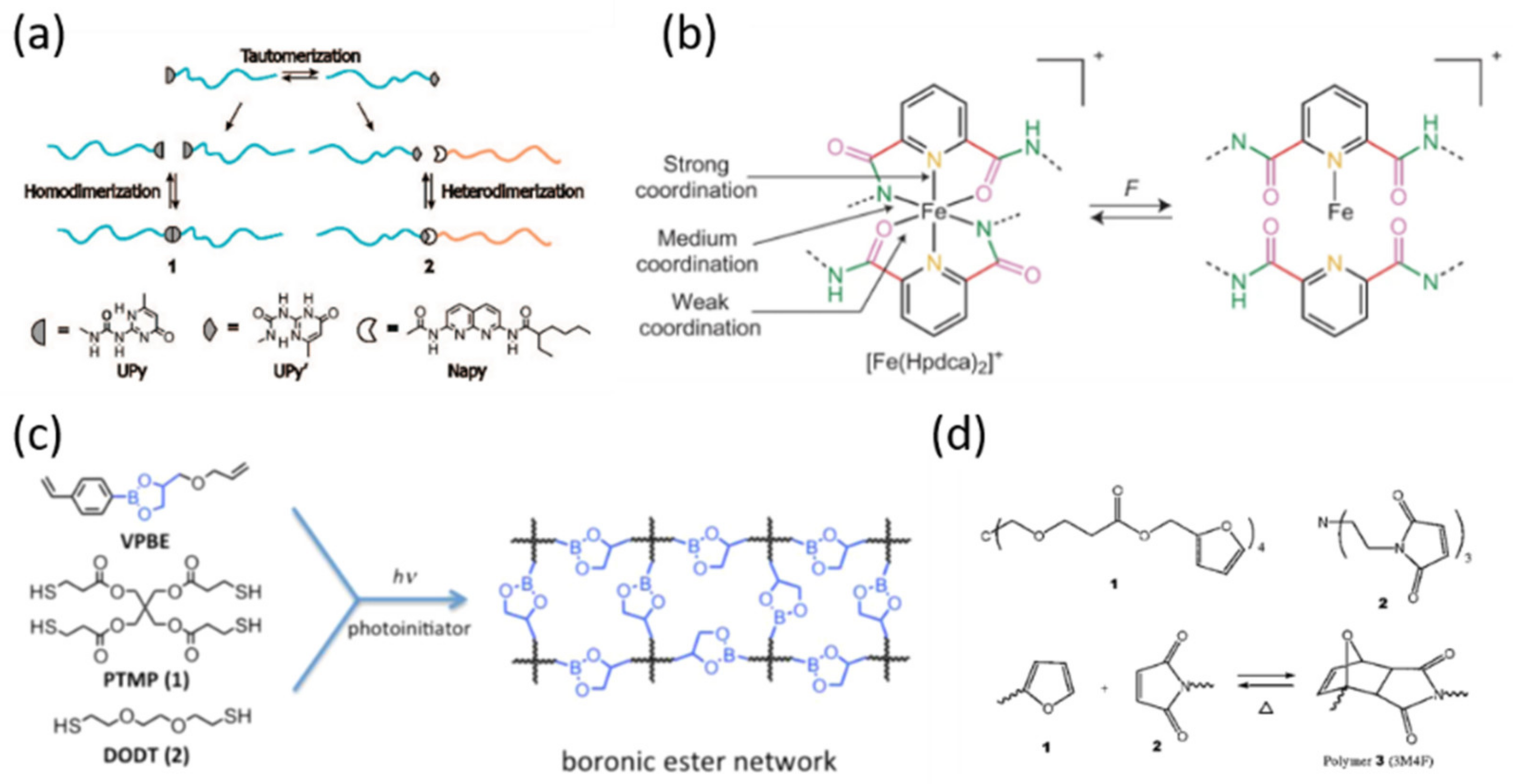 Nanomaterials 12 03656 g002