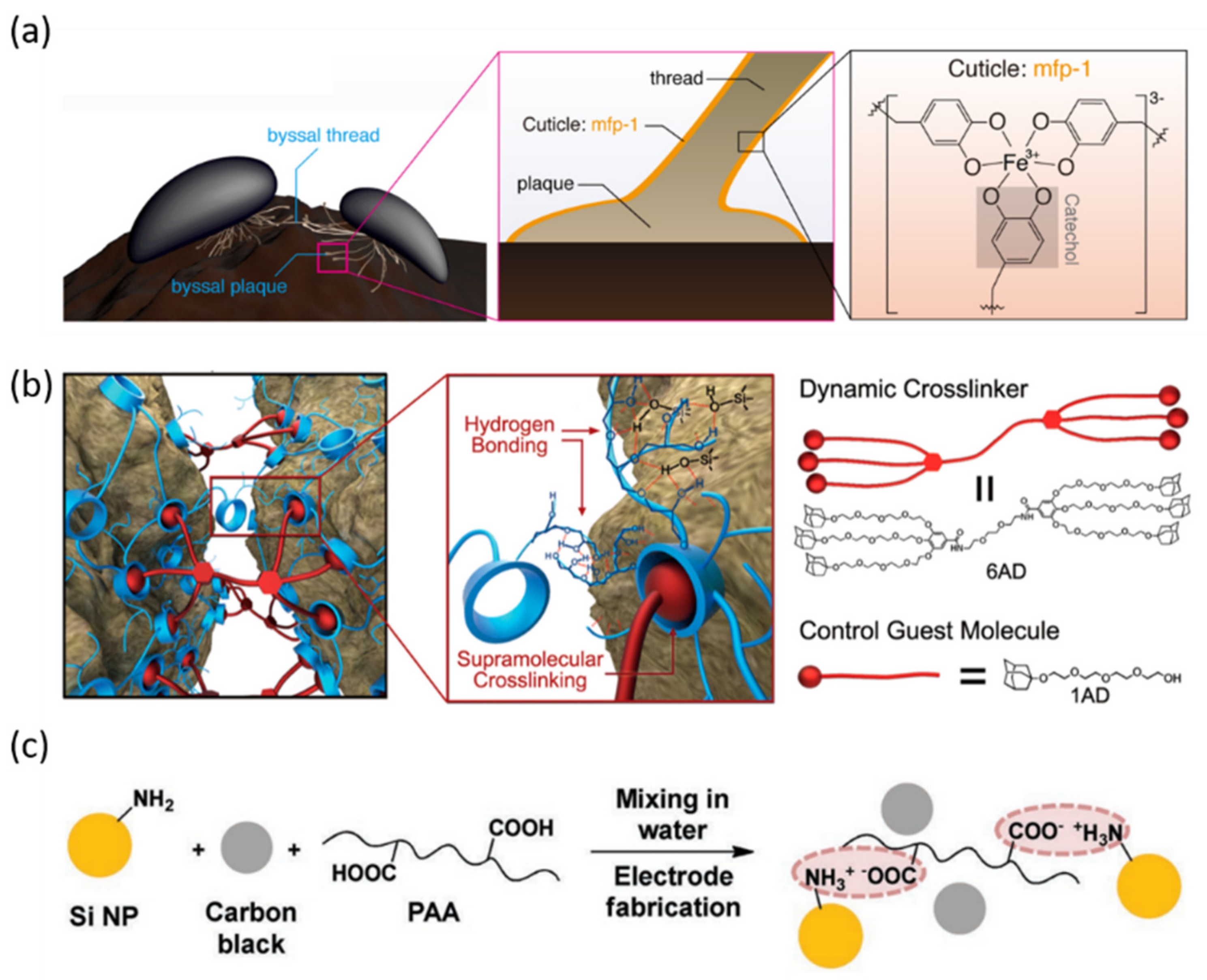 Nanomaterials 12 03656 g005
