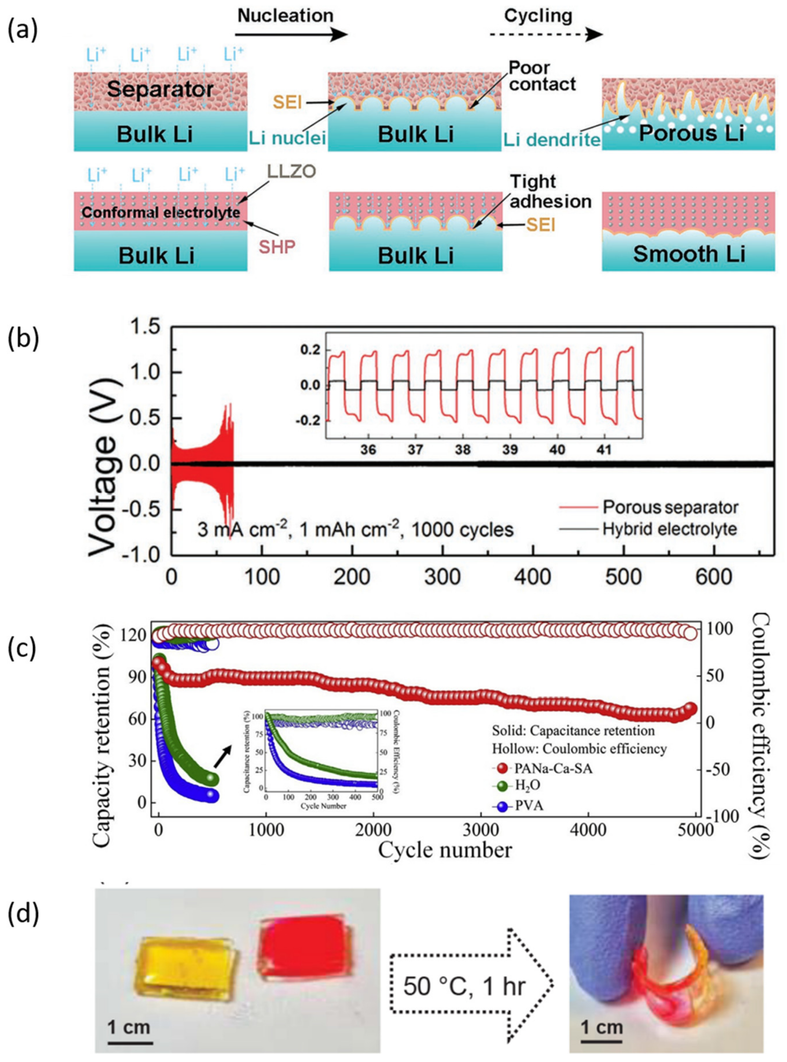 Nanomaterials 12 03656 g006