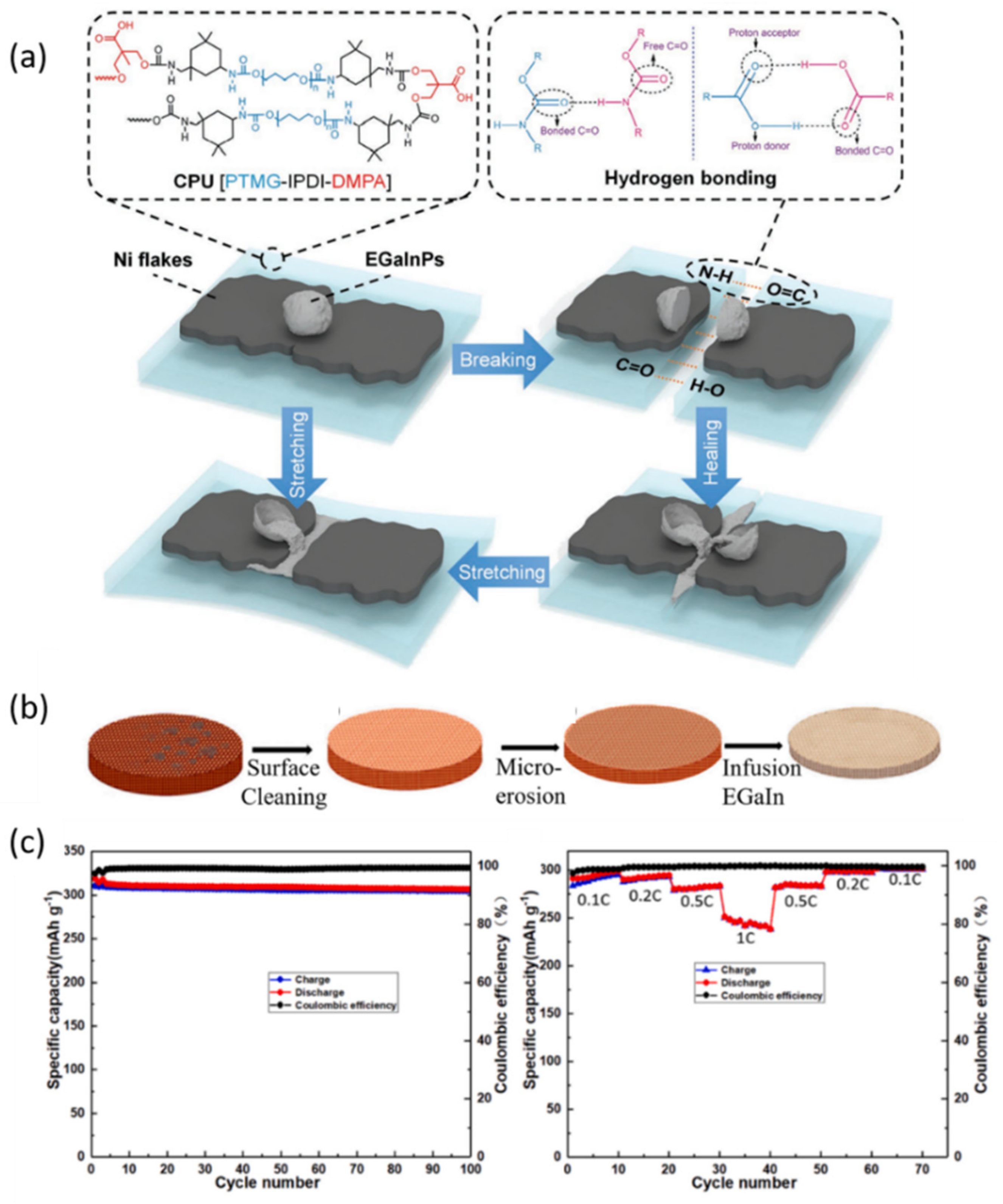 Nanomaterials 12 03656 g008