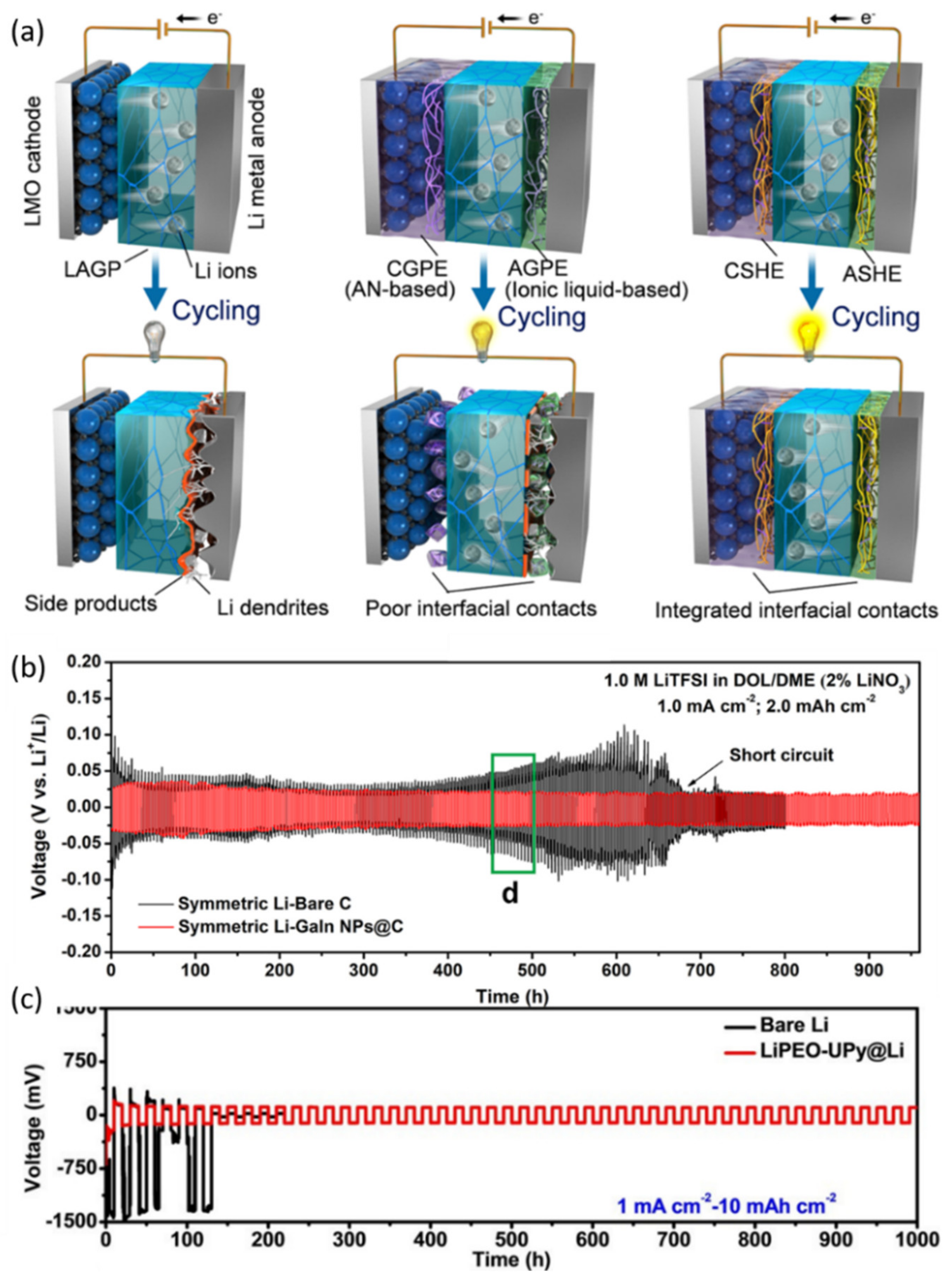 Nanomaterials 12 03656 g009