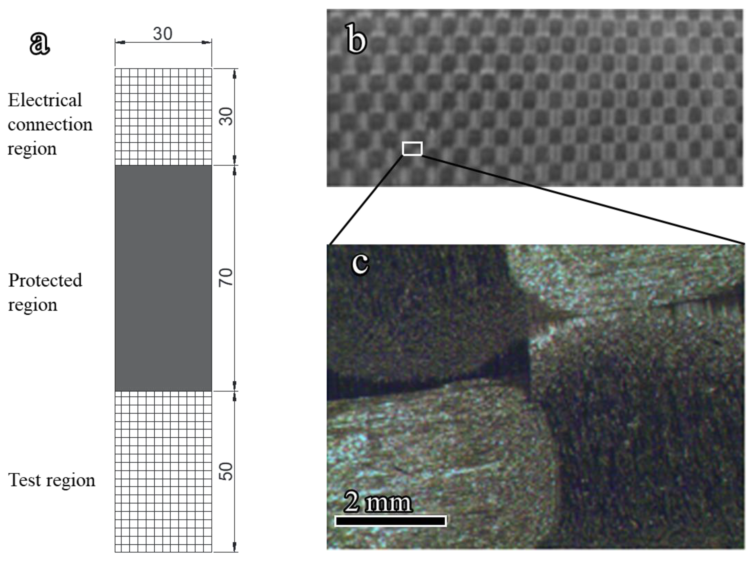Nanomaterials 12 03657 g001