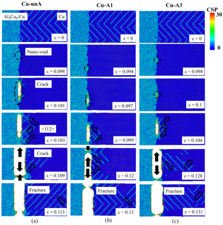 Nanomaterials 12 03658 g014