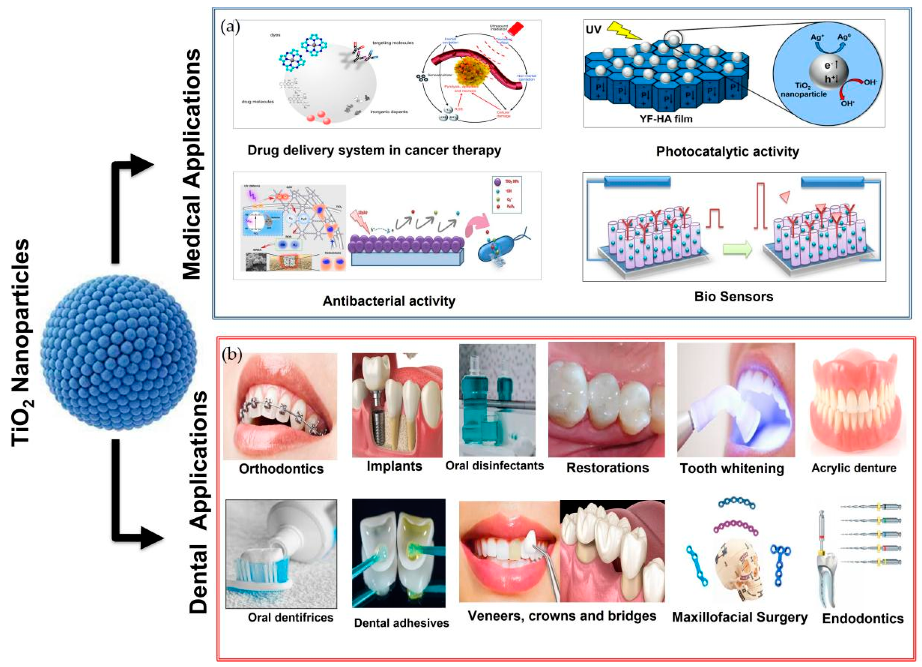 Nanomaterials 12 03670 g014