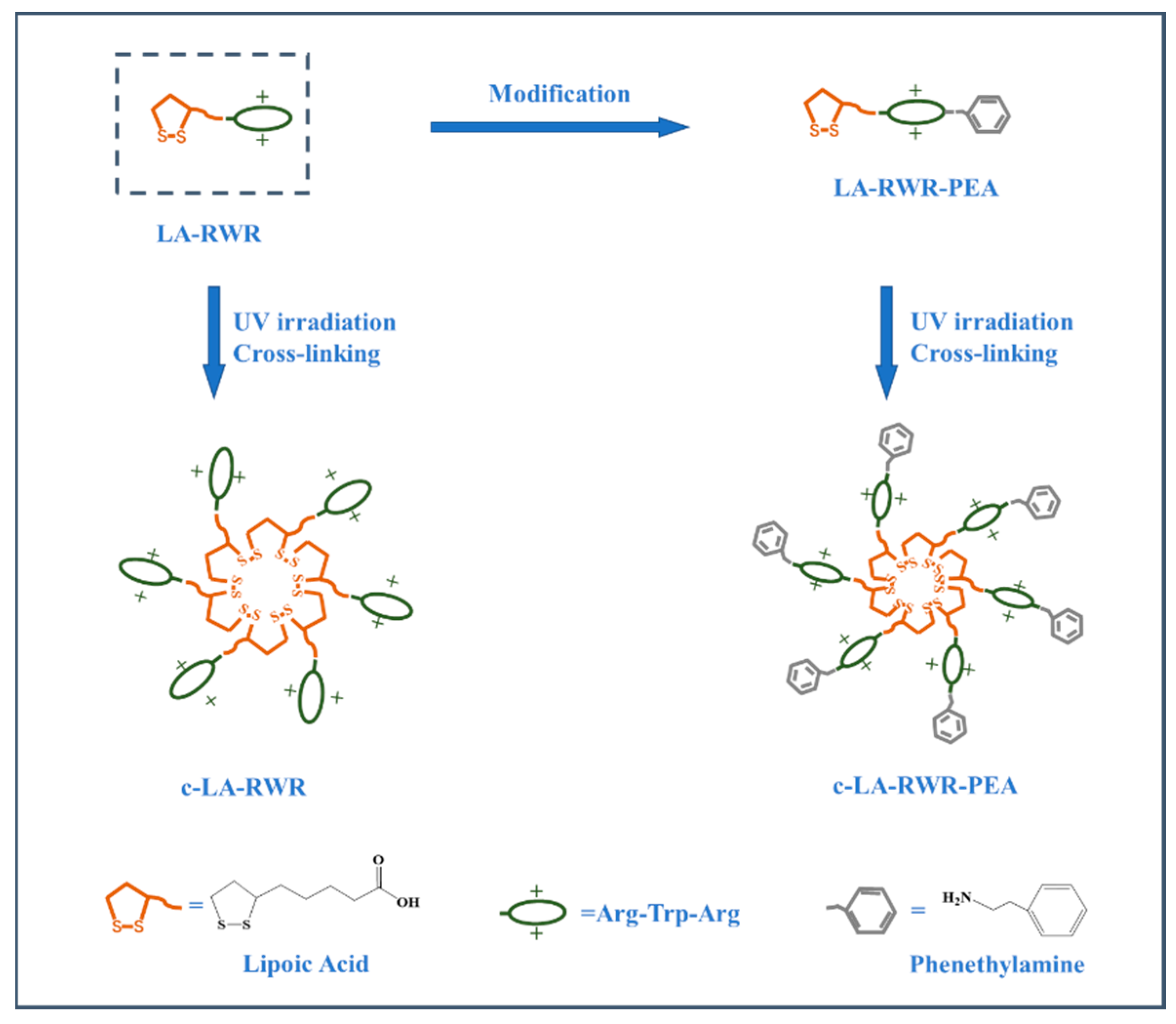 Nanomaterials 12 03691 g001