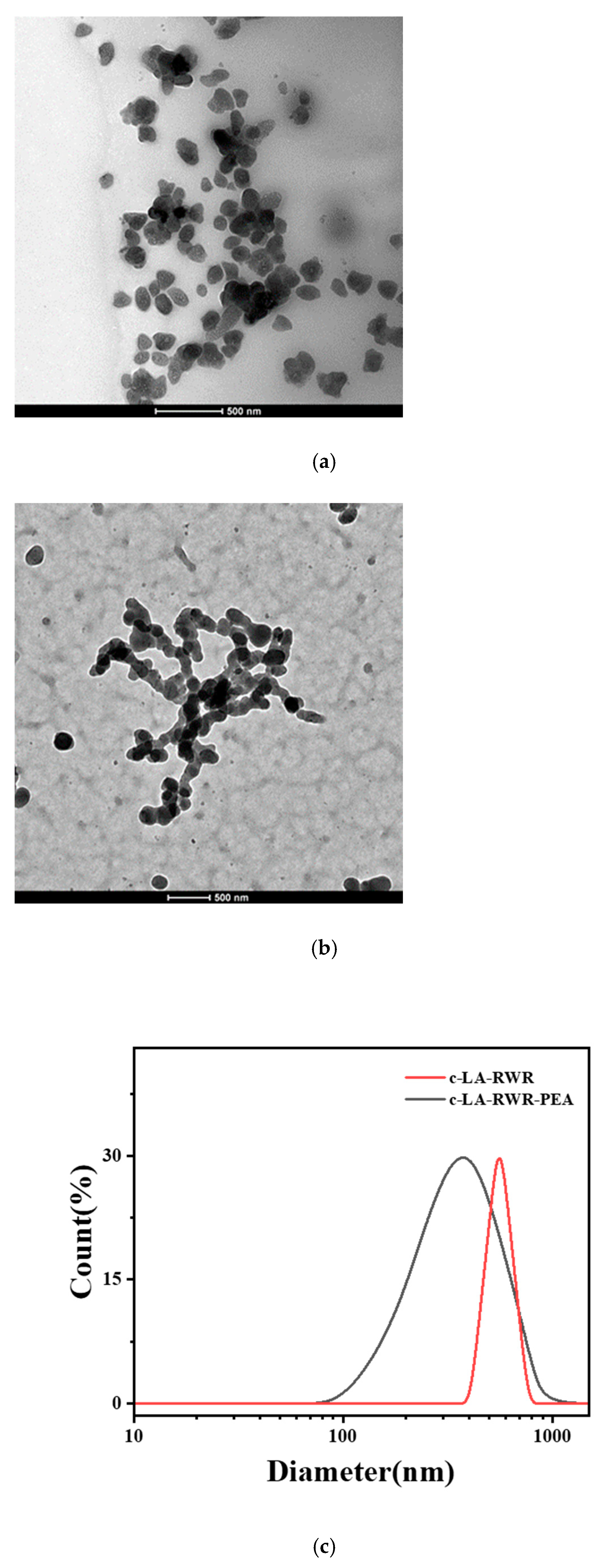 Nanomaterials 12 03691 g002