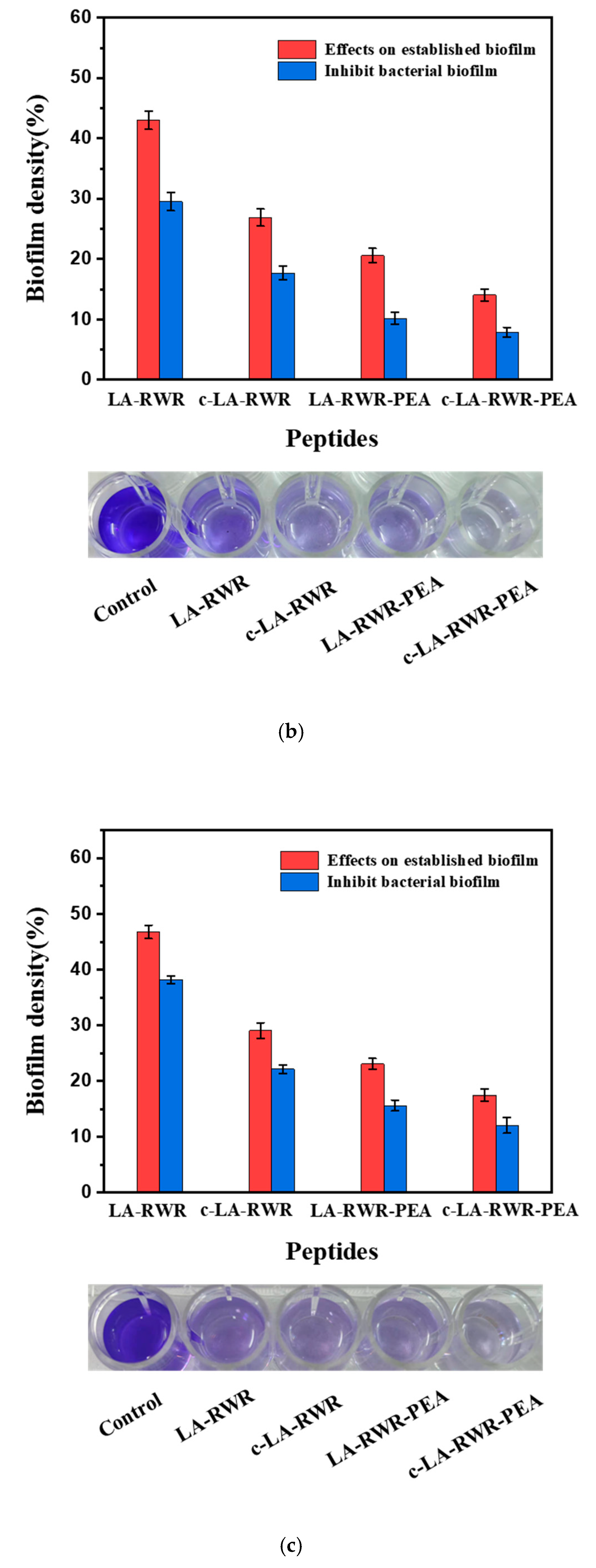 Nanomaterials 12 03691 g004b