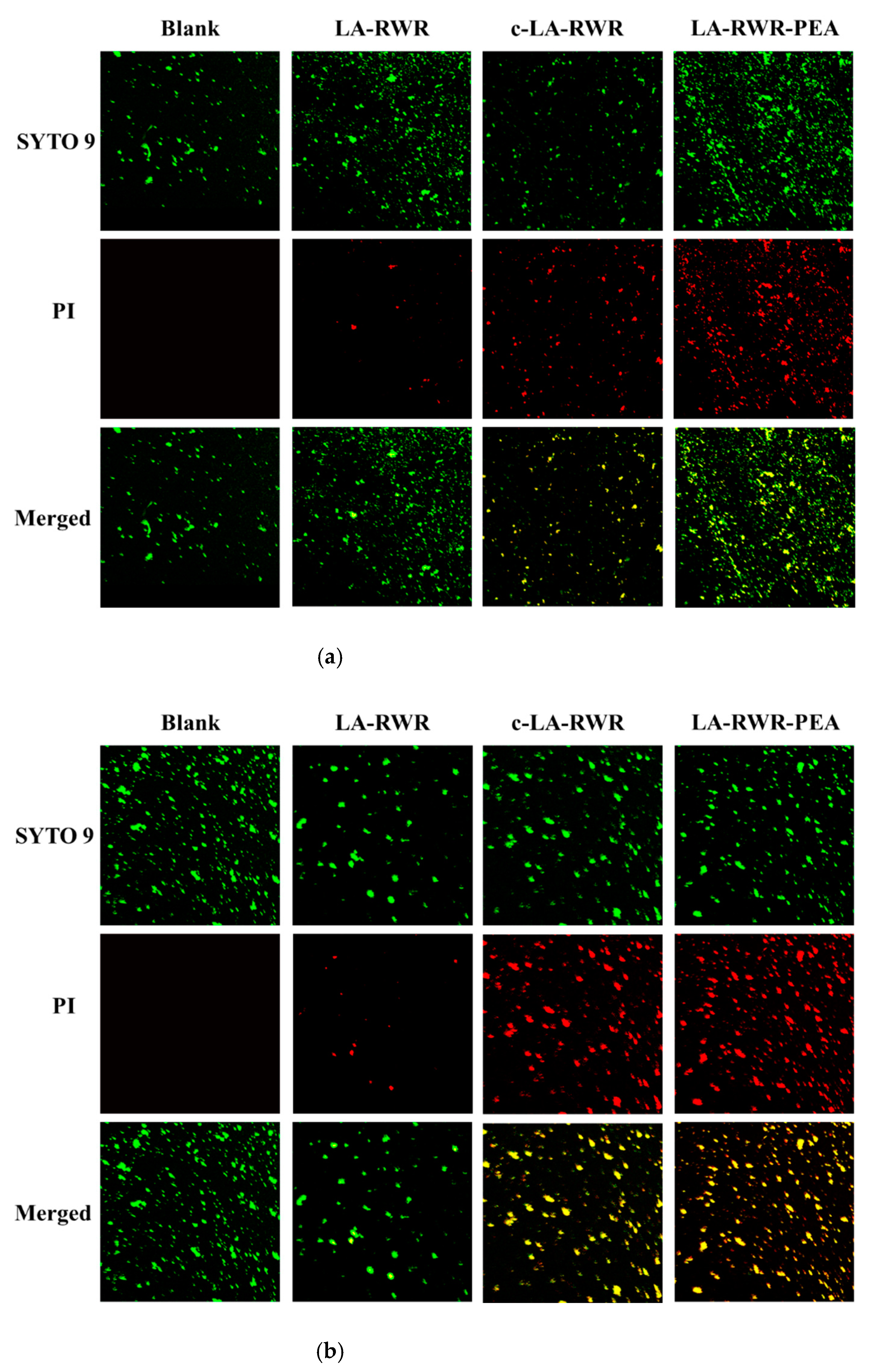Nanomaterials 12 03691 g005