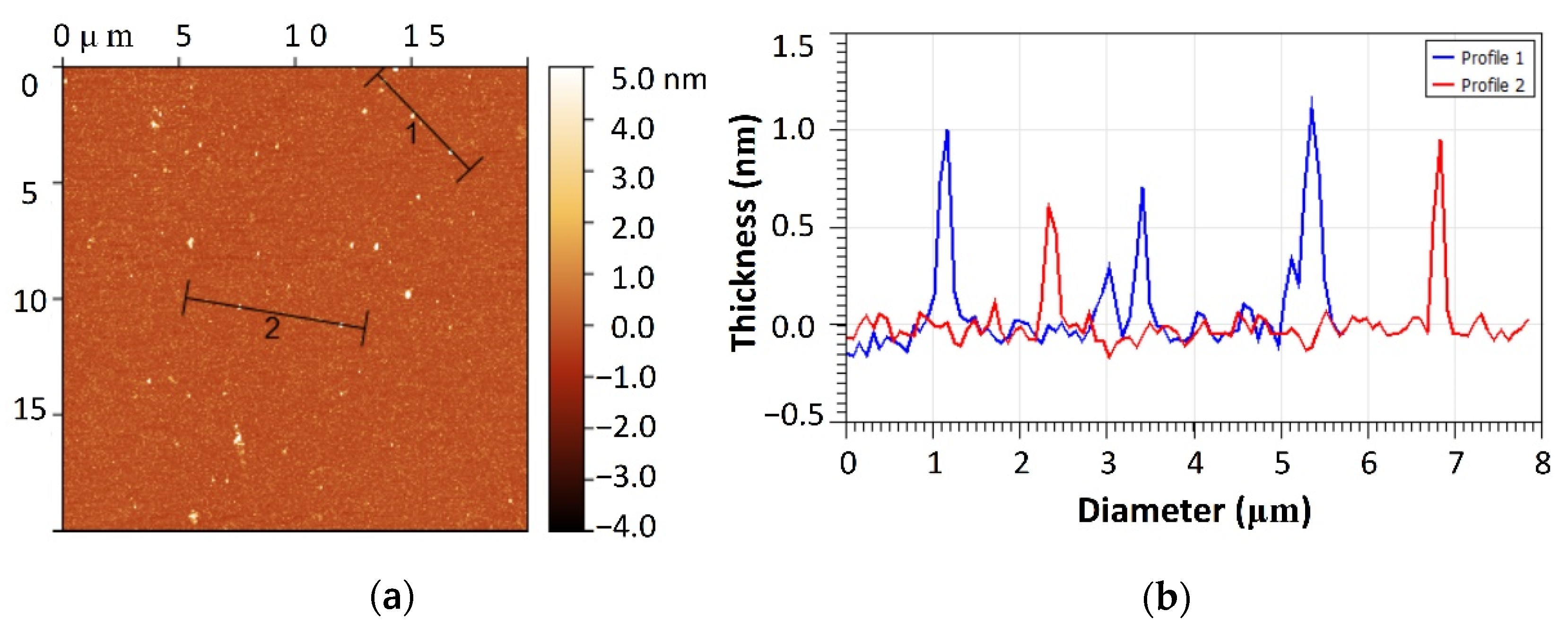 Nanomaterials 12 03696 g006