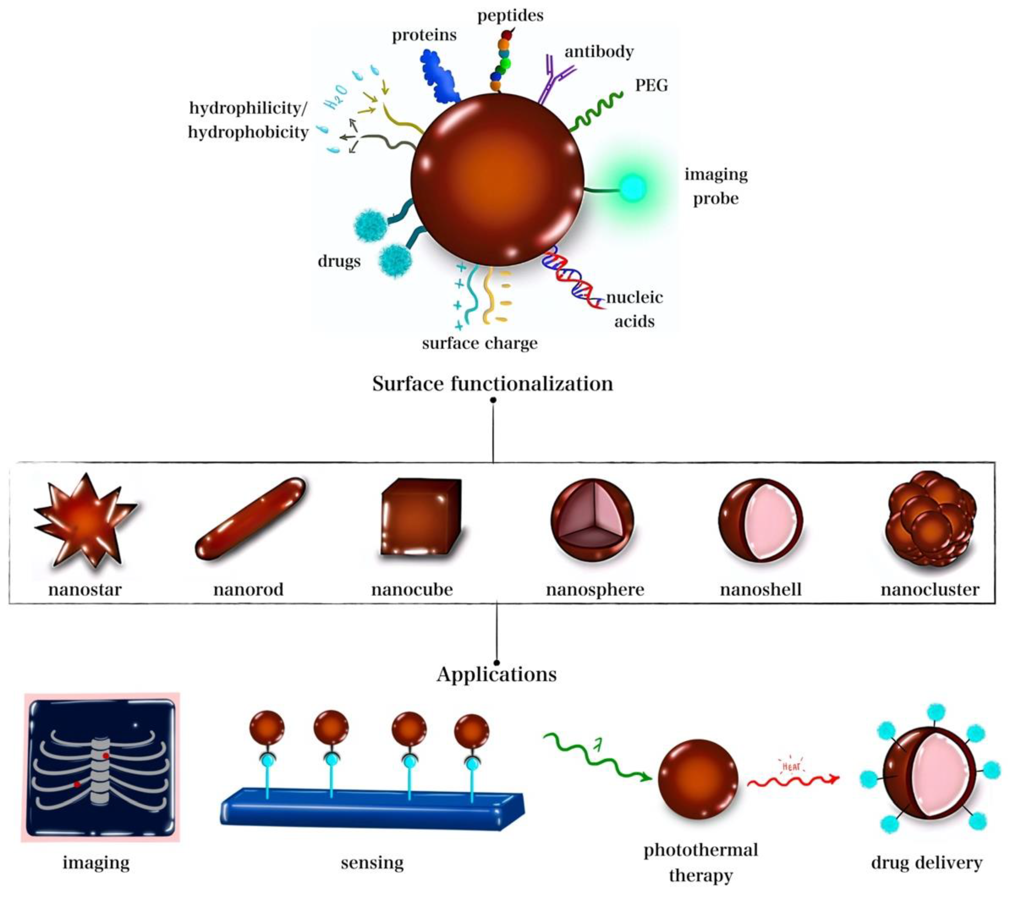 Nanomaterials 12 03706 g001