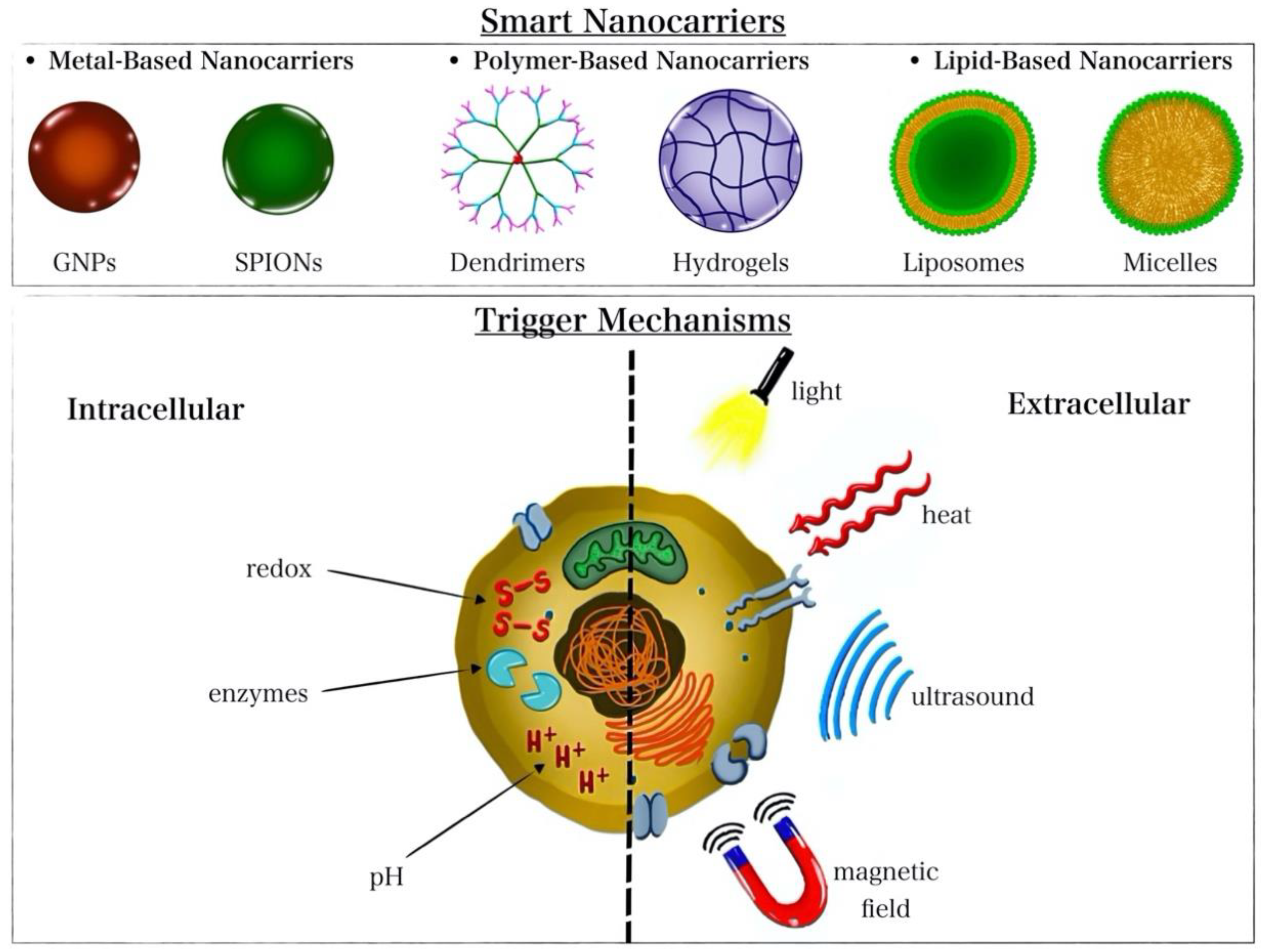 Nanomaterials 12 03706 g002