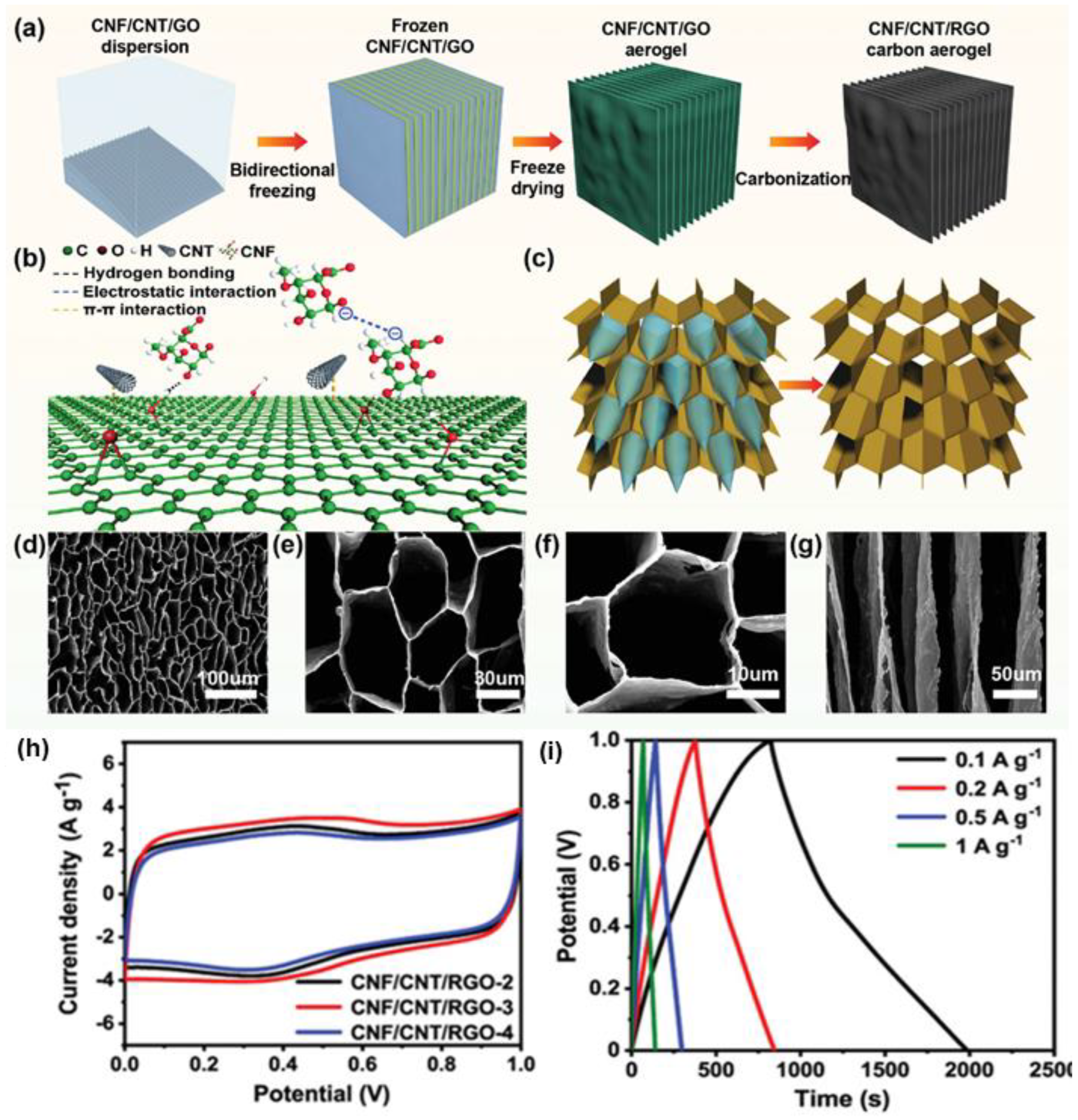 Nanomaterials 12 03708 g009
