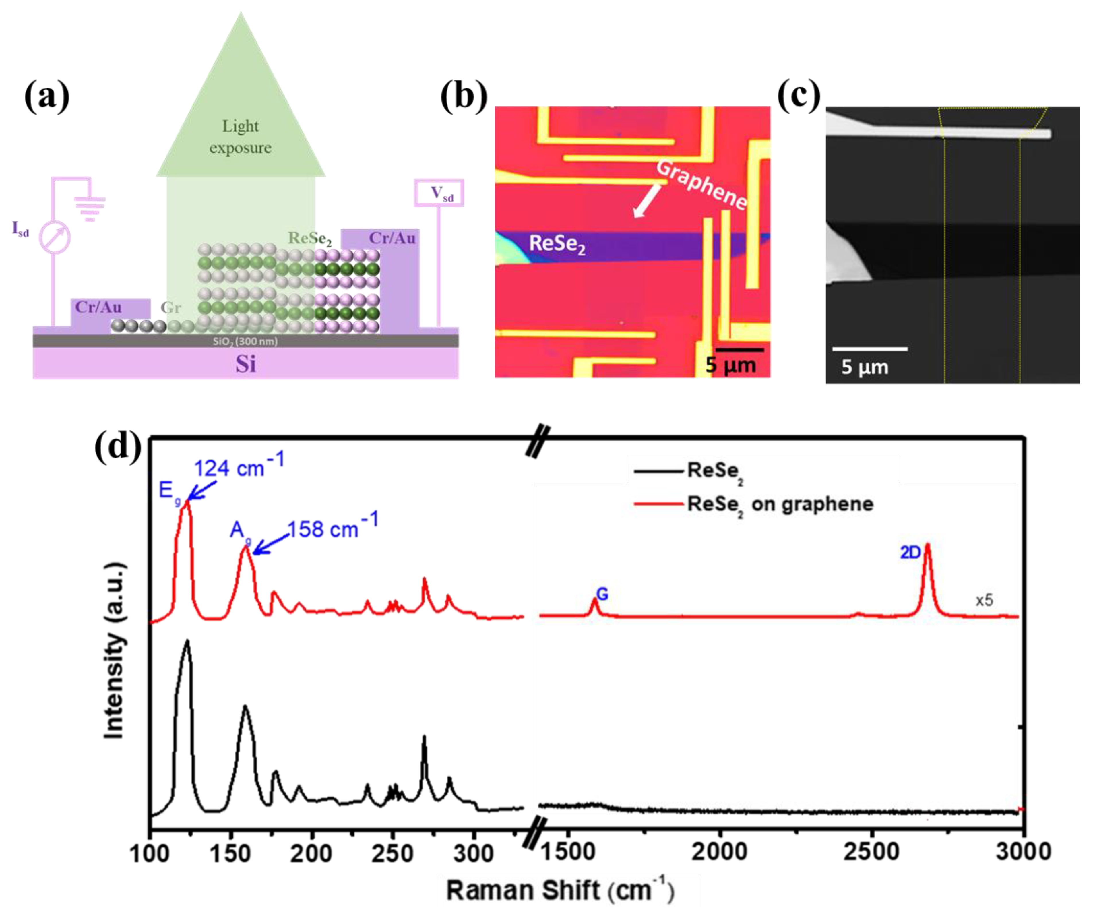 Nanomaterials 12 03713 g001