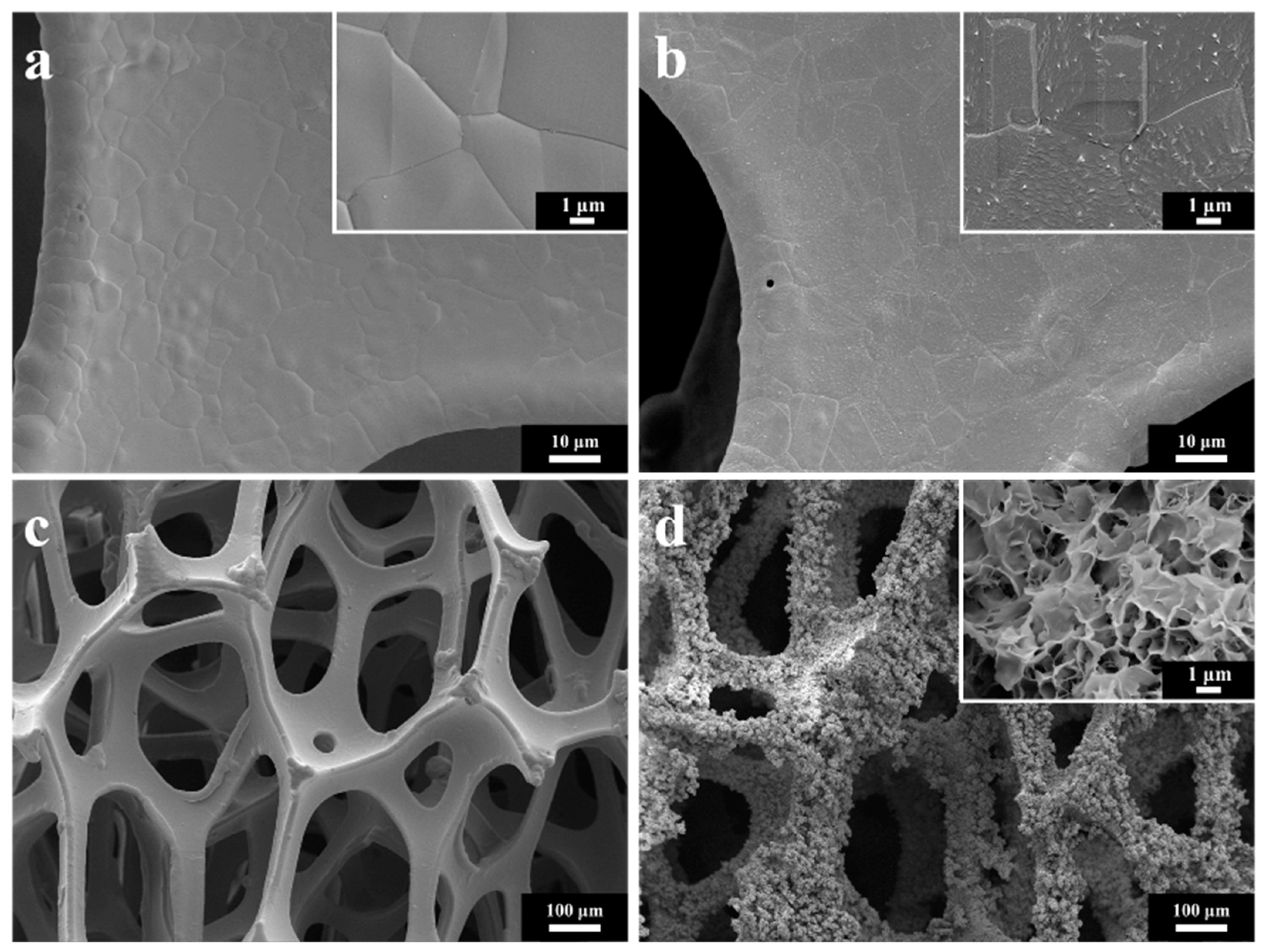 Nanomaterials 12 03716 g003