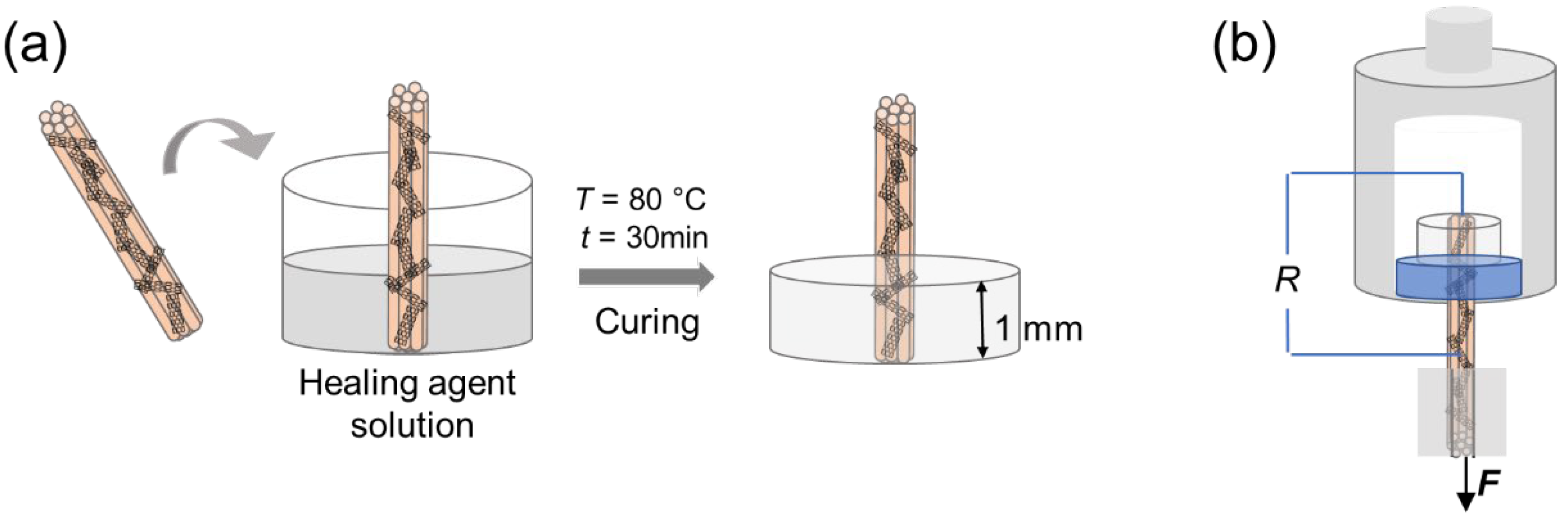 Nanomaterials 12 03717 g002