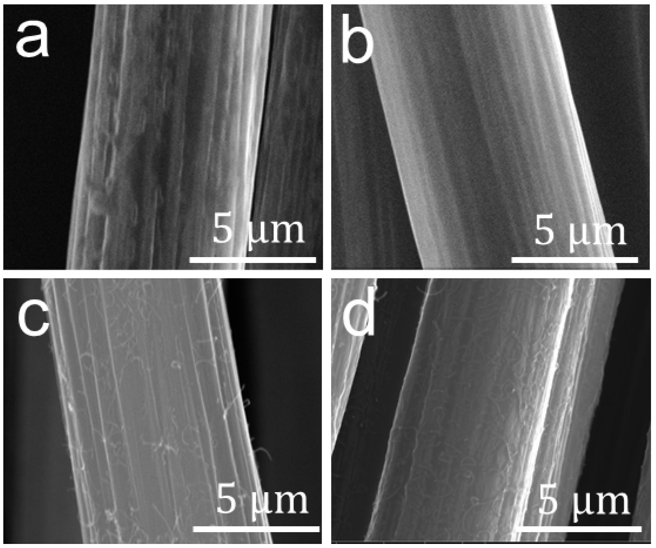Nanomaterials 12 03717 g003