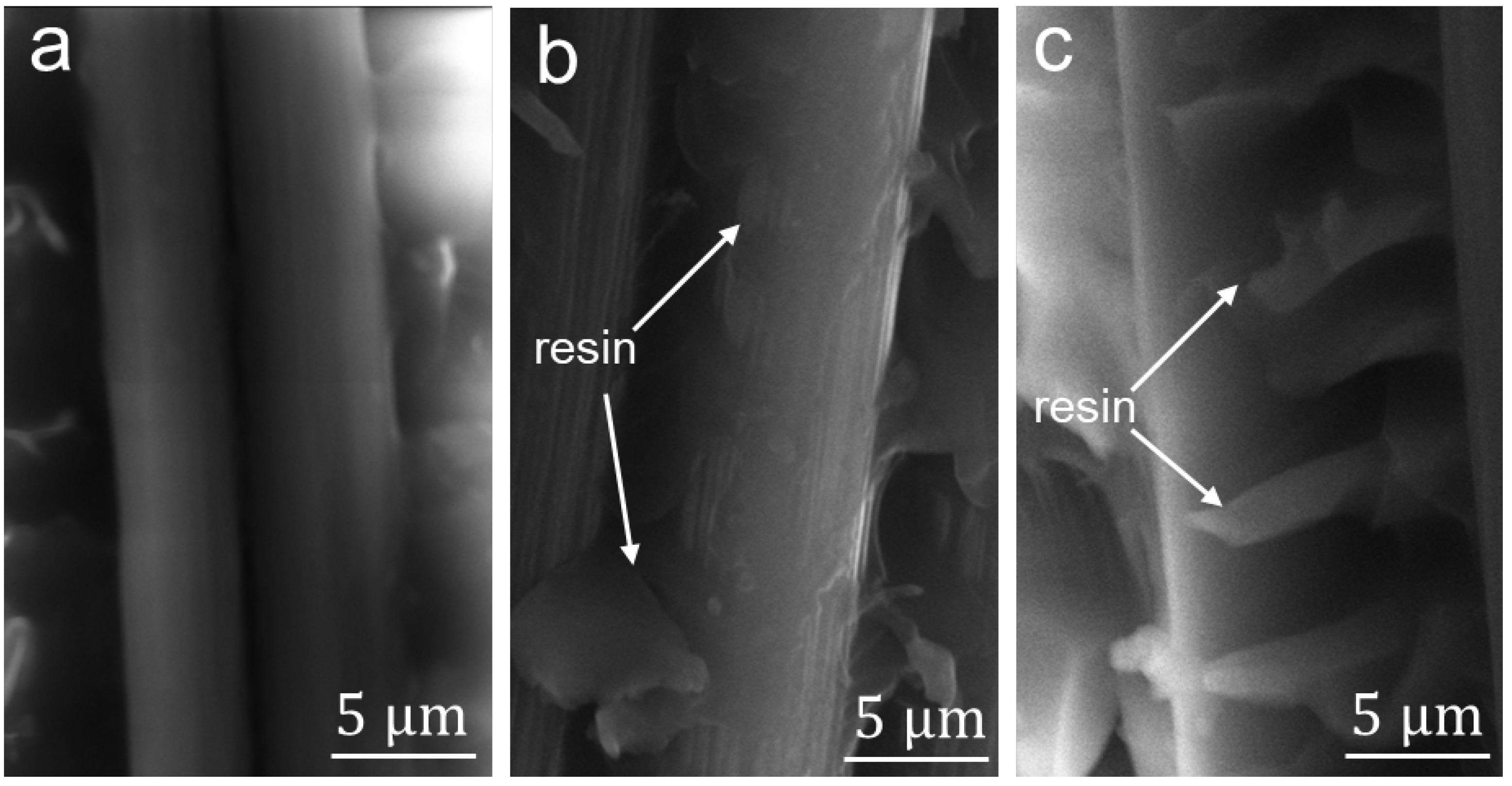 Nanomaterials 12 03717 g007