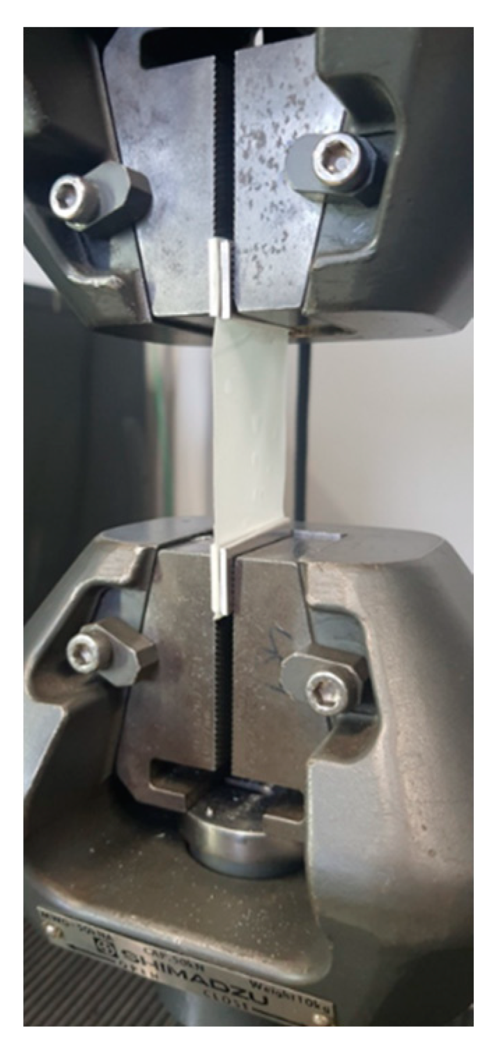 Nanomaterials 12 03721 g001