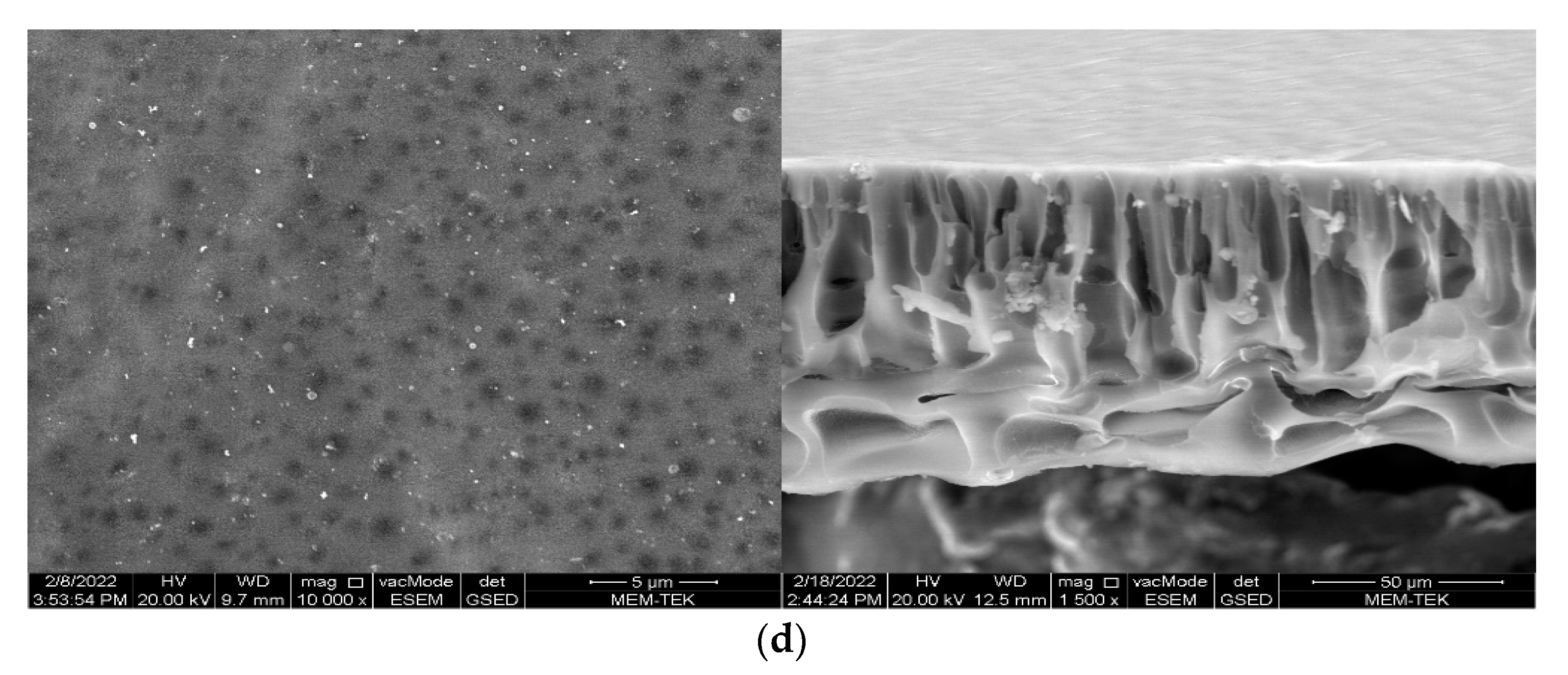 Nanomaterials 12 03721 g005b