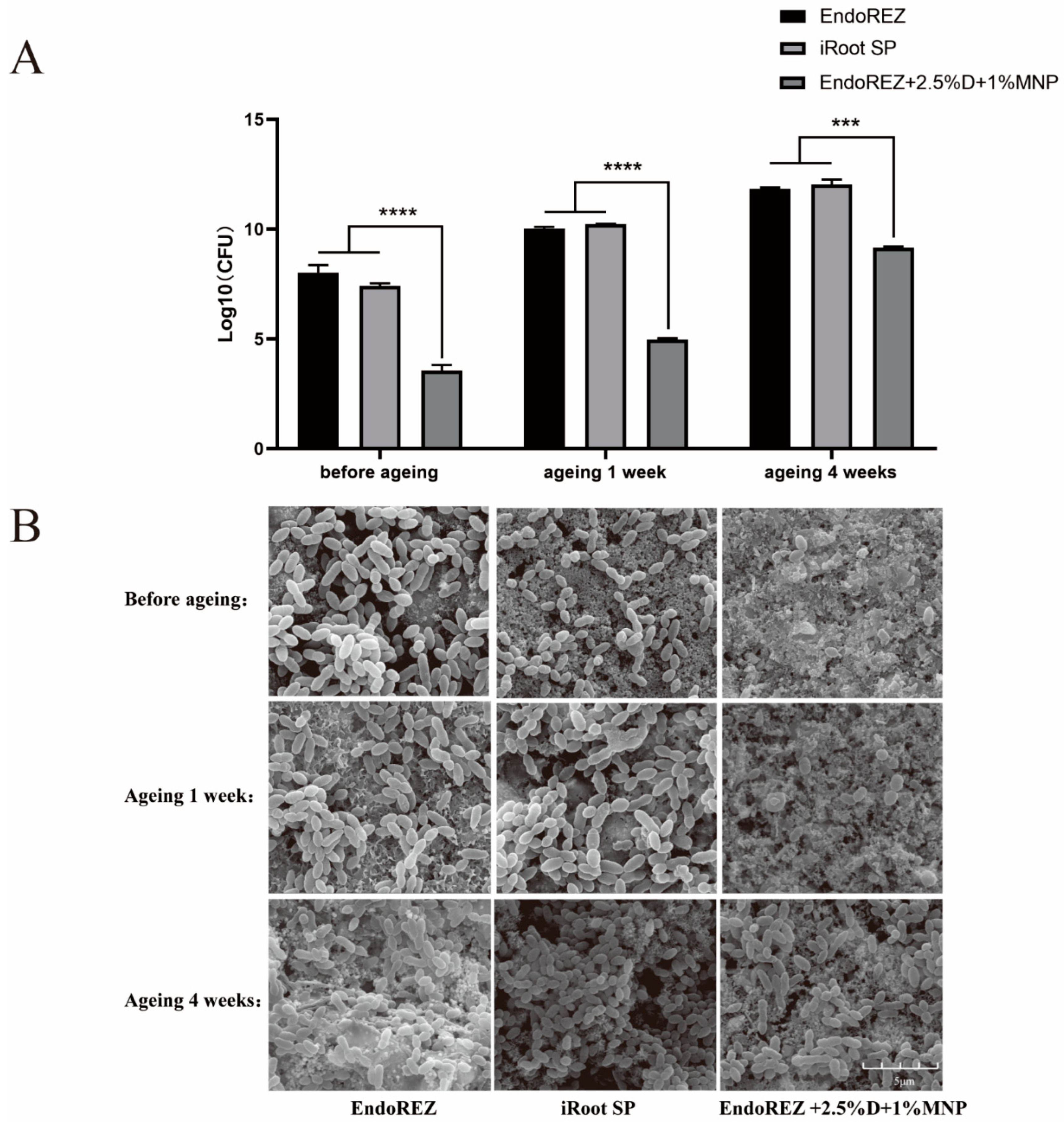 Nanomaterials 12 03722 g003