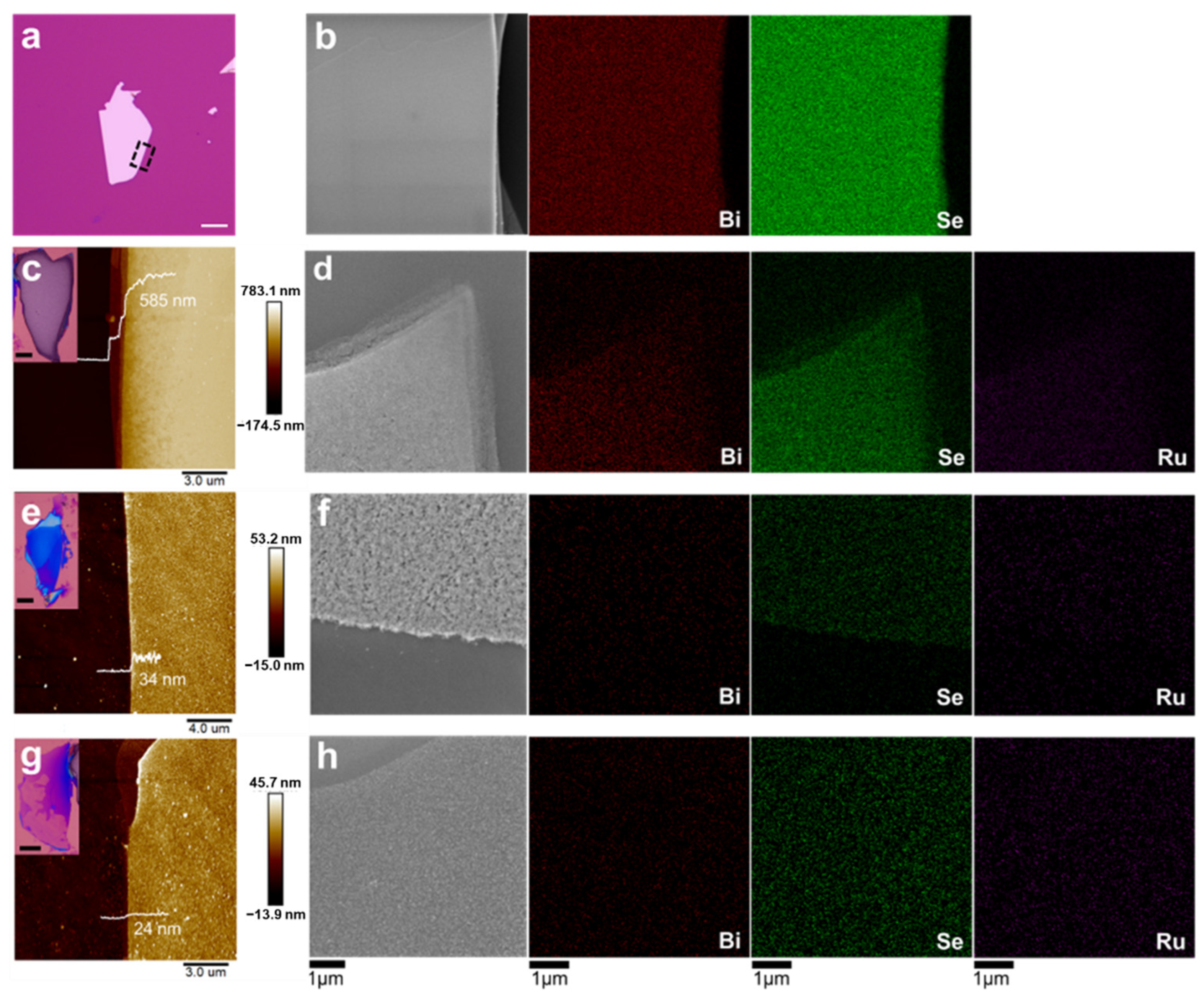 Nanomaterials 12 03725 g004