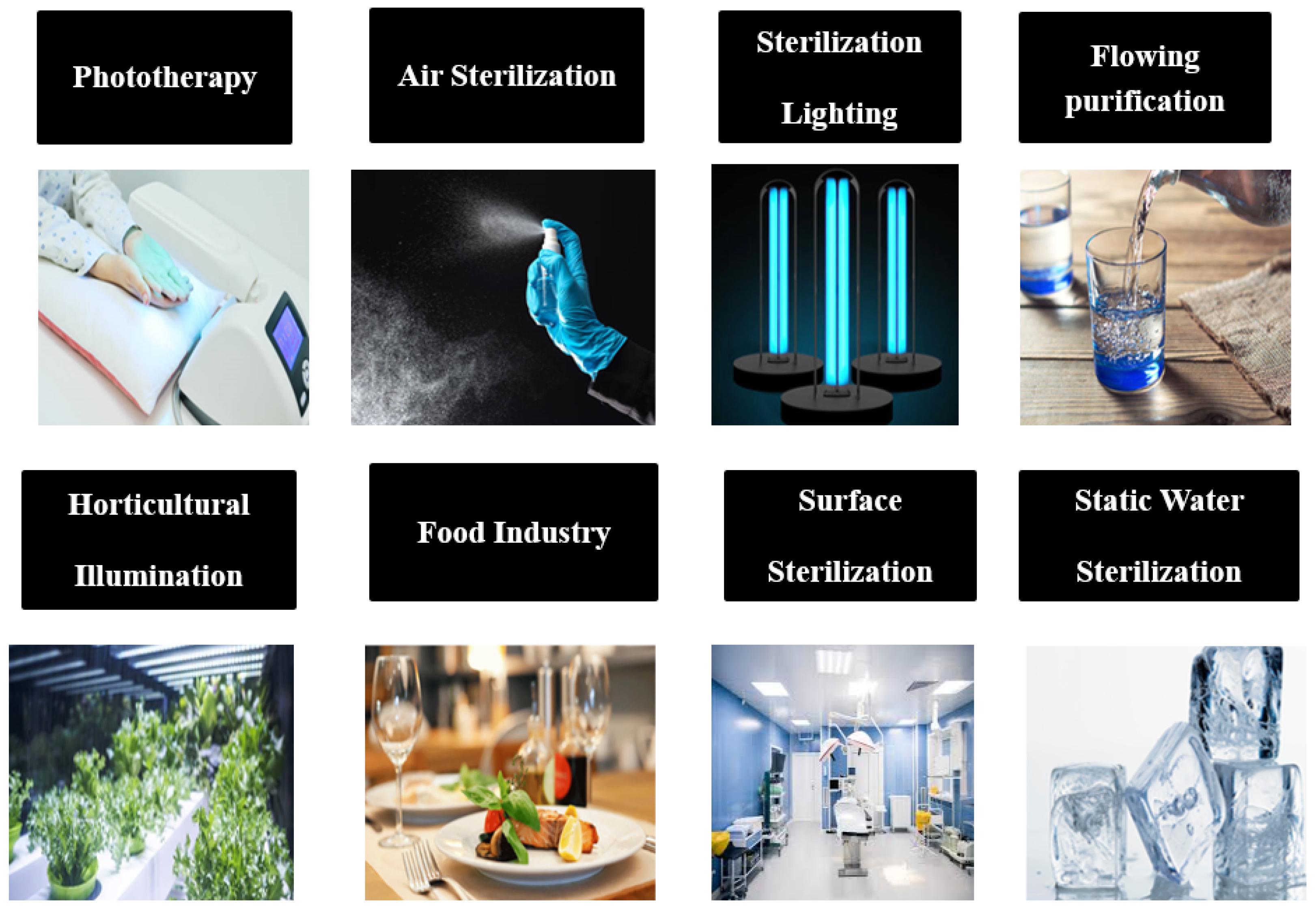 Nanomaterials 12 03731 g002