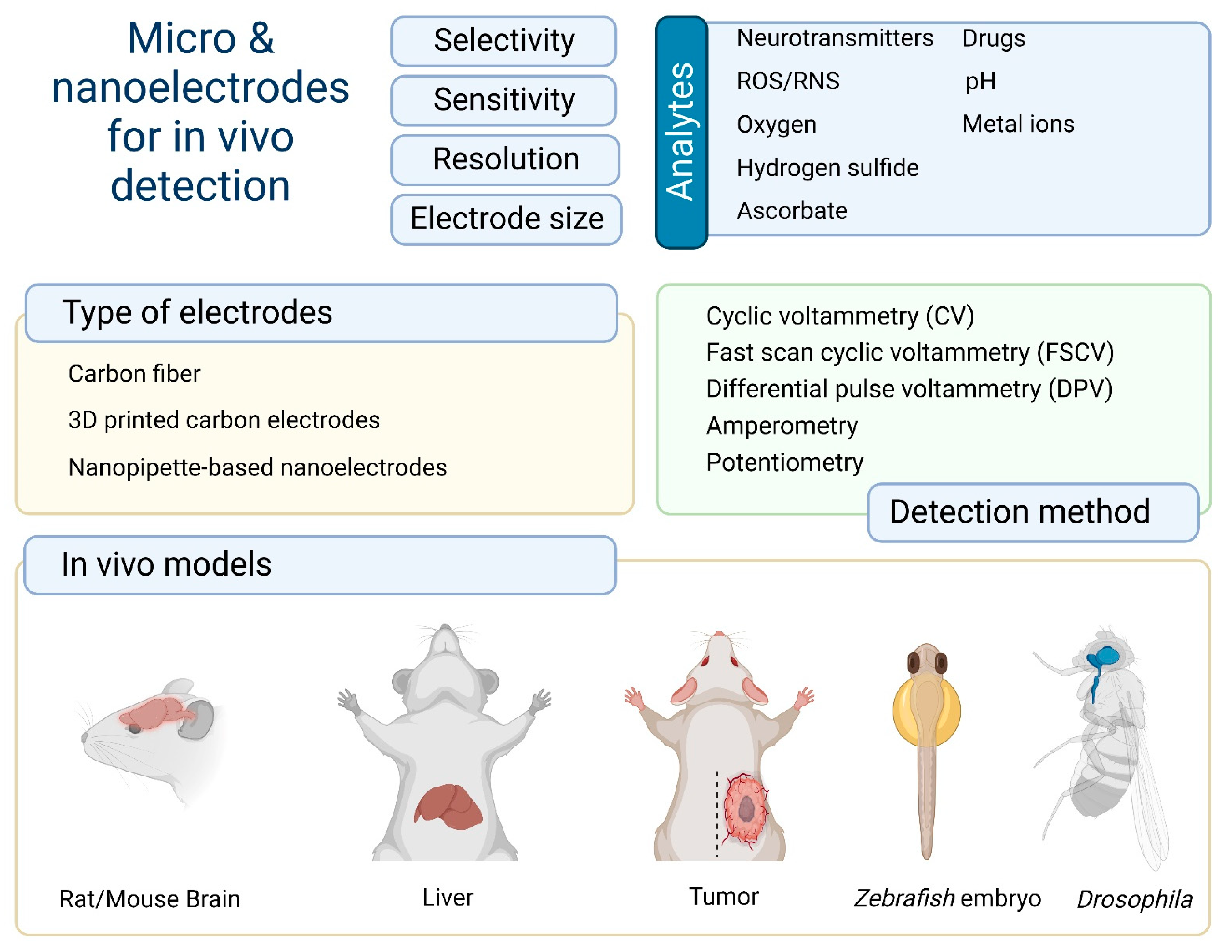 Nanomaterials 12 03736 g001 Nanomaterials 12 03736 g001
