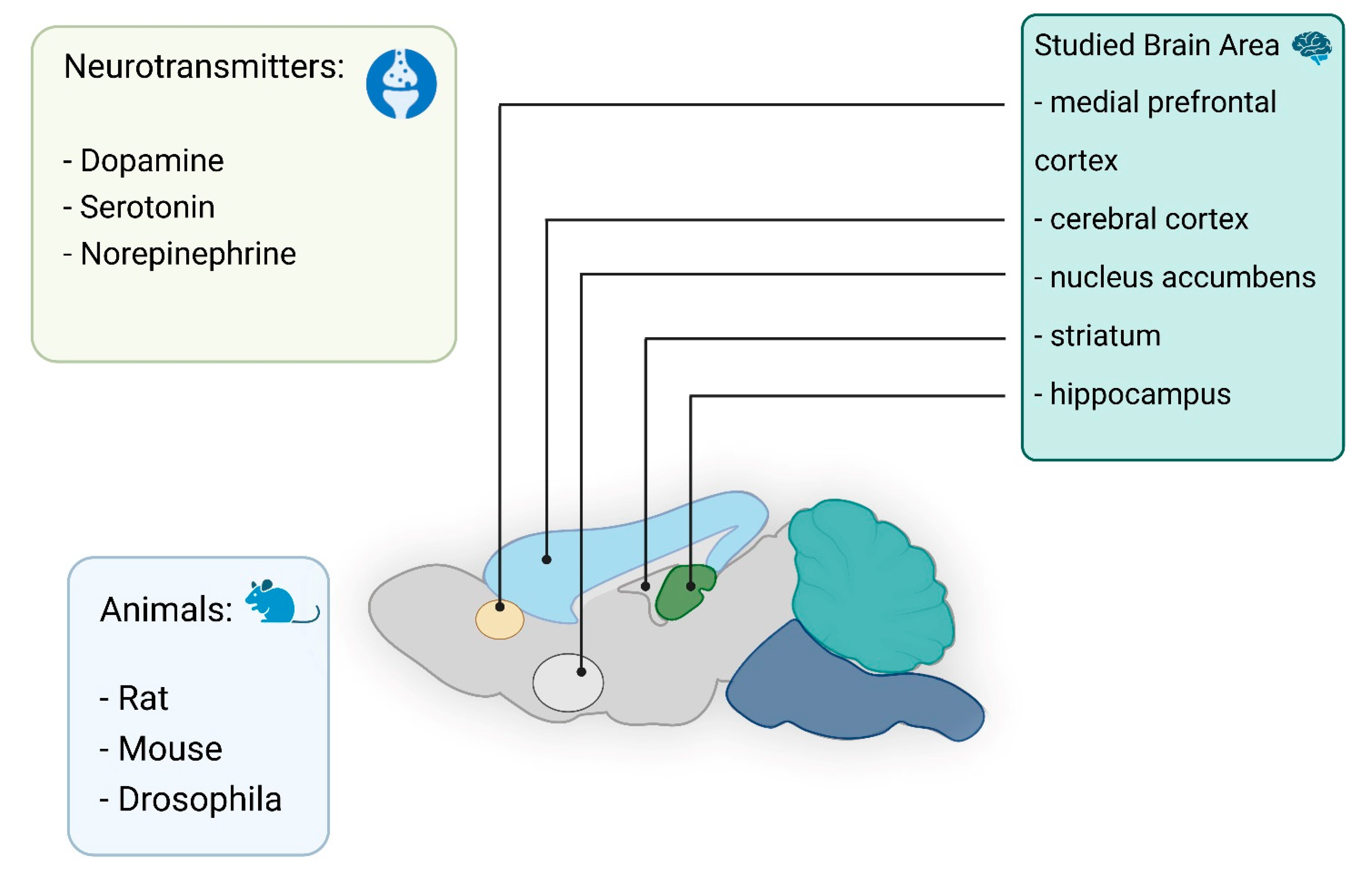 Nanomaterials 12 03736 g002 Nanomaterials 12 03736 g002
