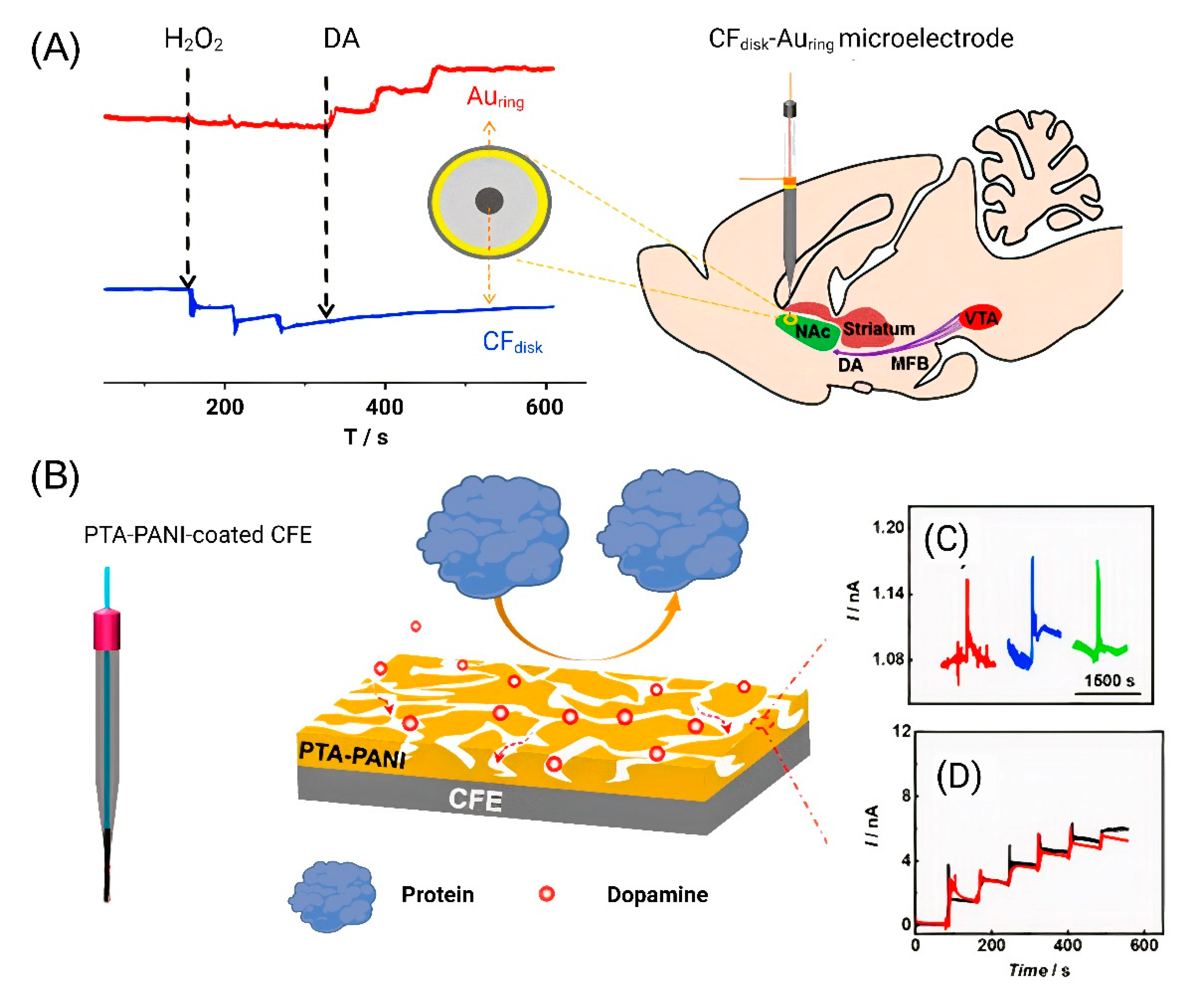 Nanomaterials 12 03736 g003 Nanomaterials 12 03736 g003