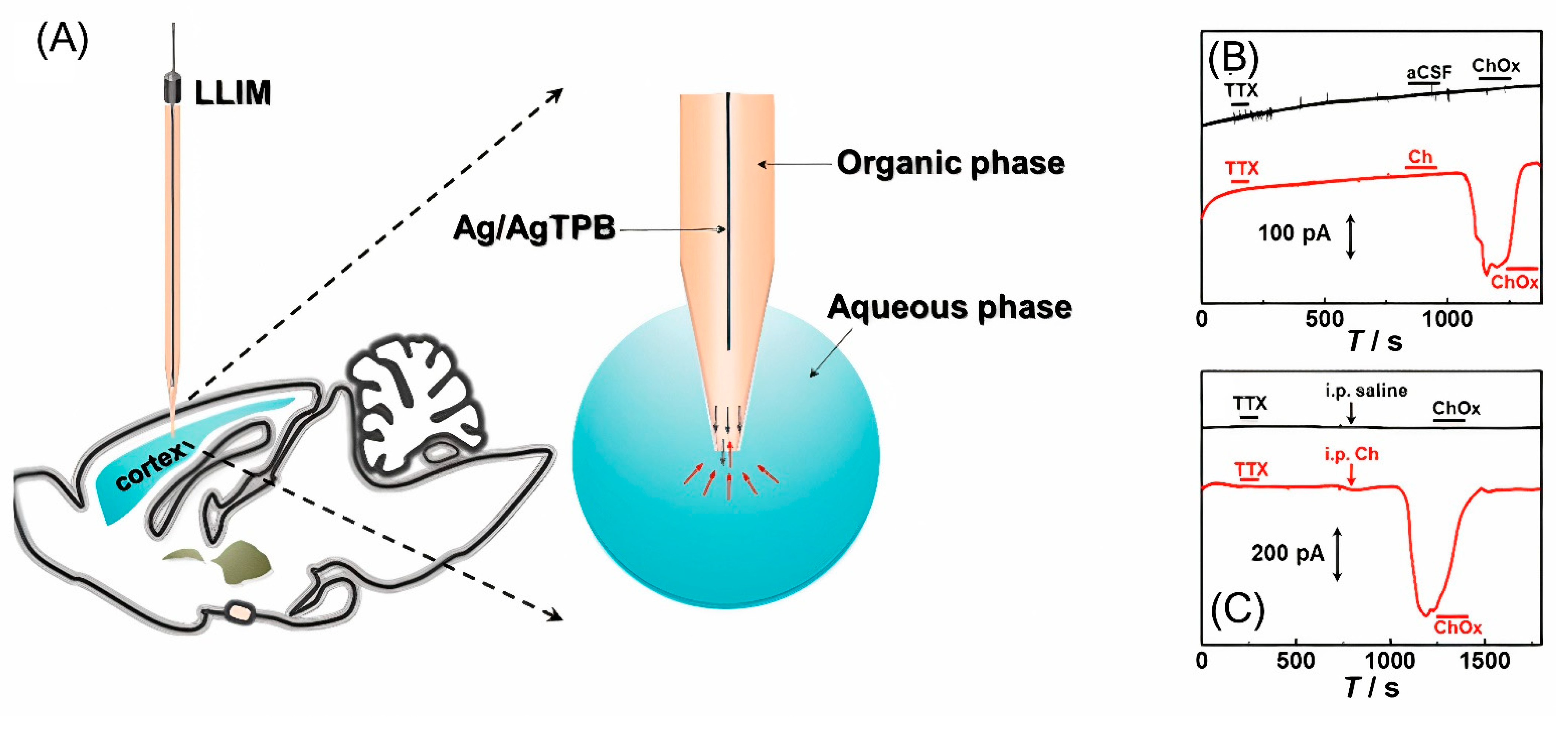 Nanomaterials 12 03736 g005 Nanomaterials 12 03736 g005