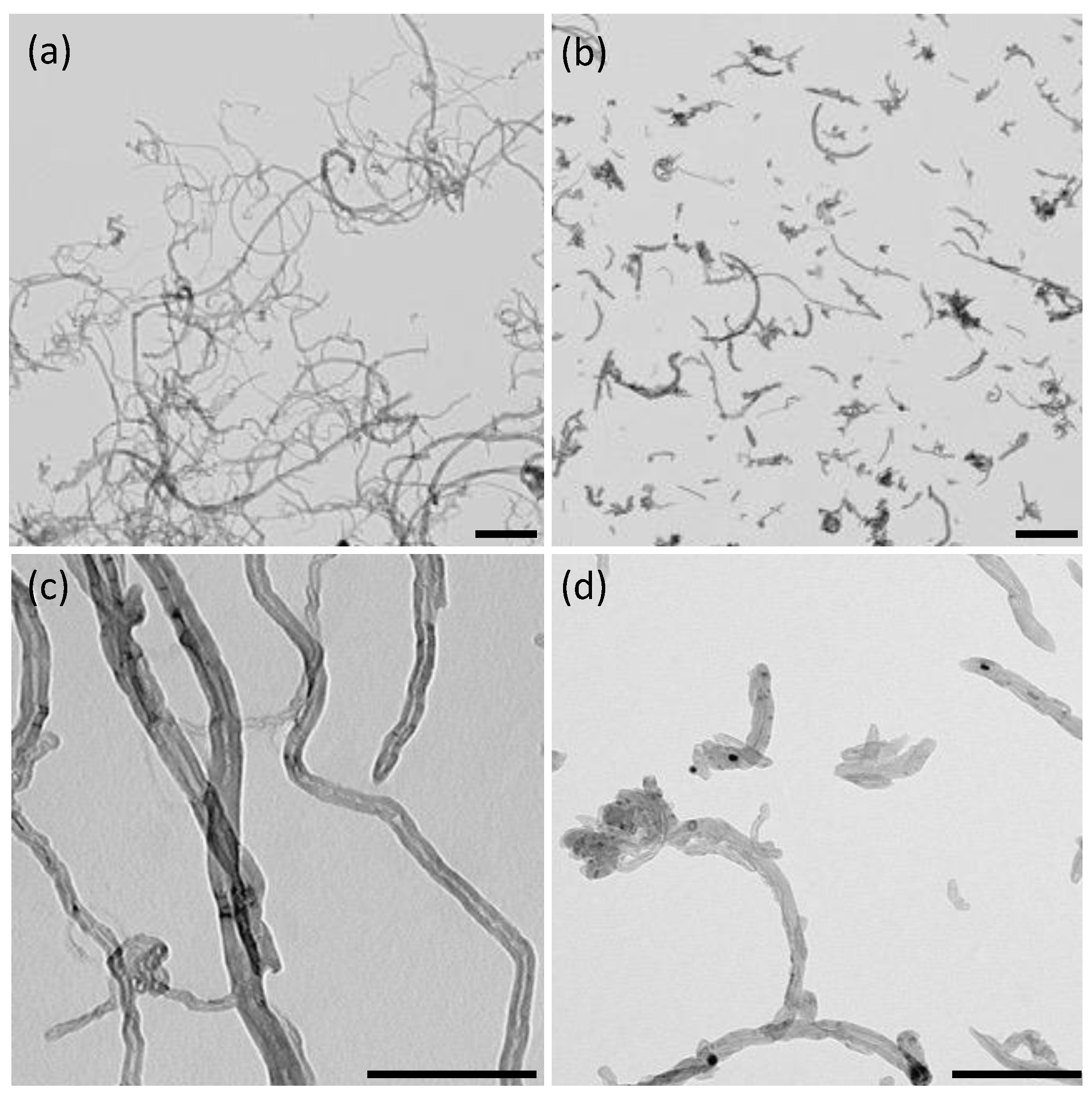 Nanomaterials 12 03741 g001