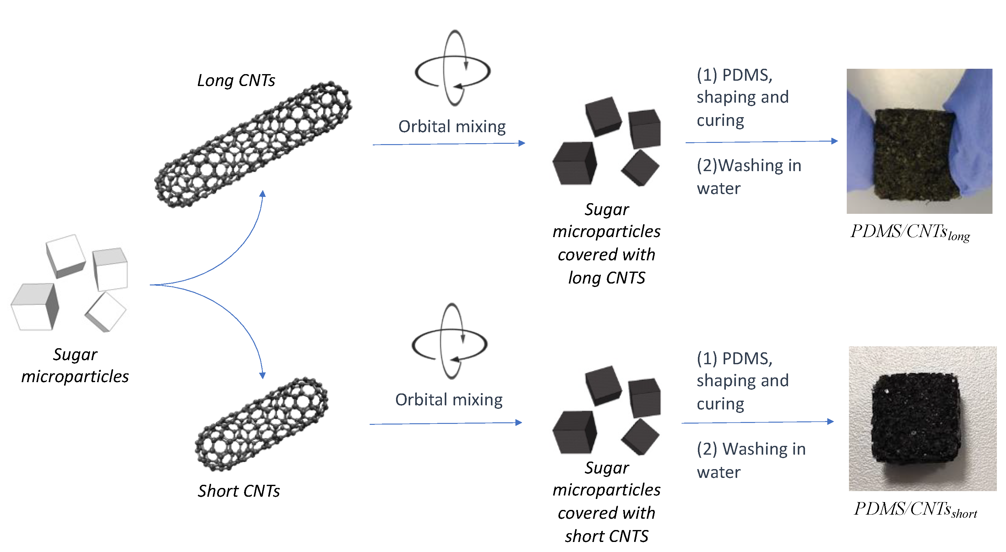 Nanomaterials 12 03741 g002