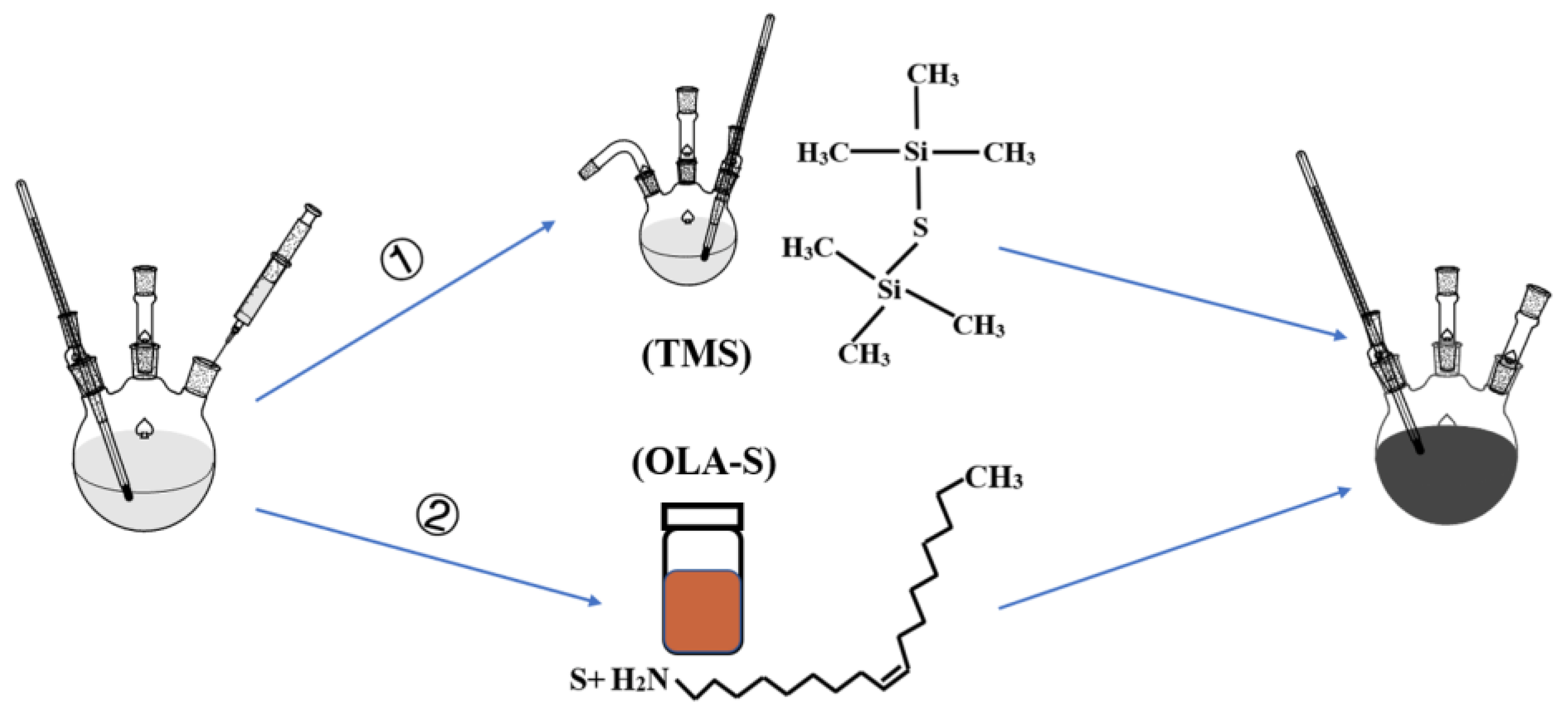 Nanomaterials 12 03742 g001