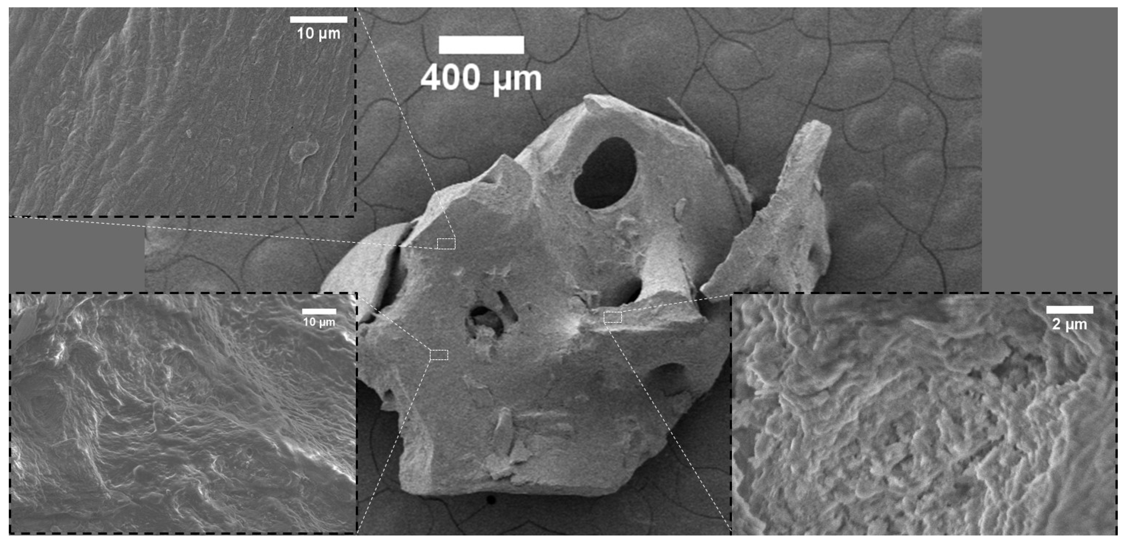 Nanomaterials 12 03752 g001