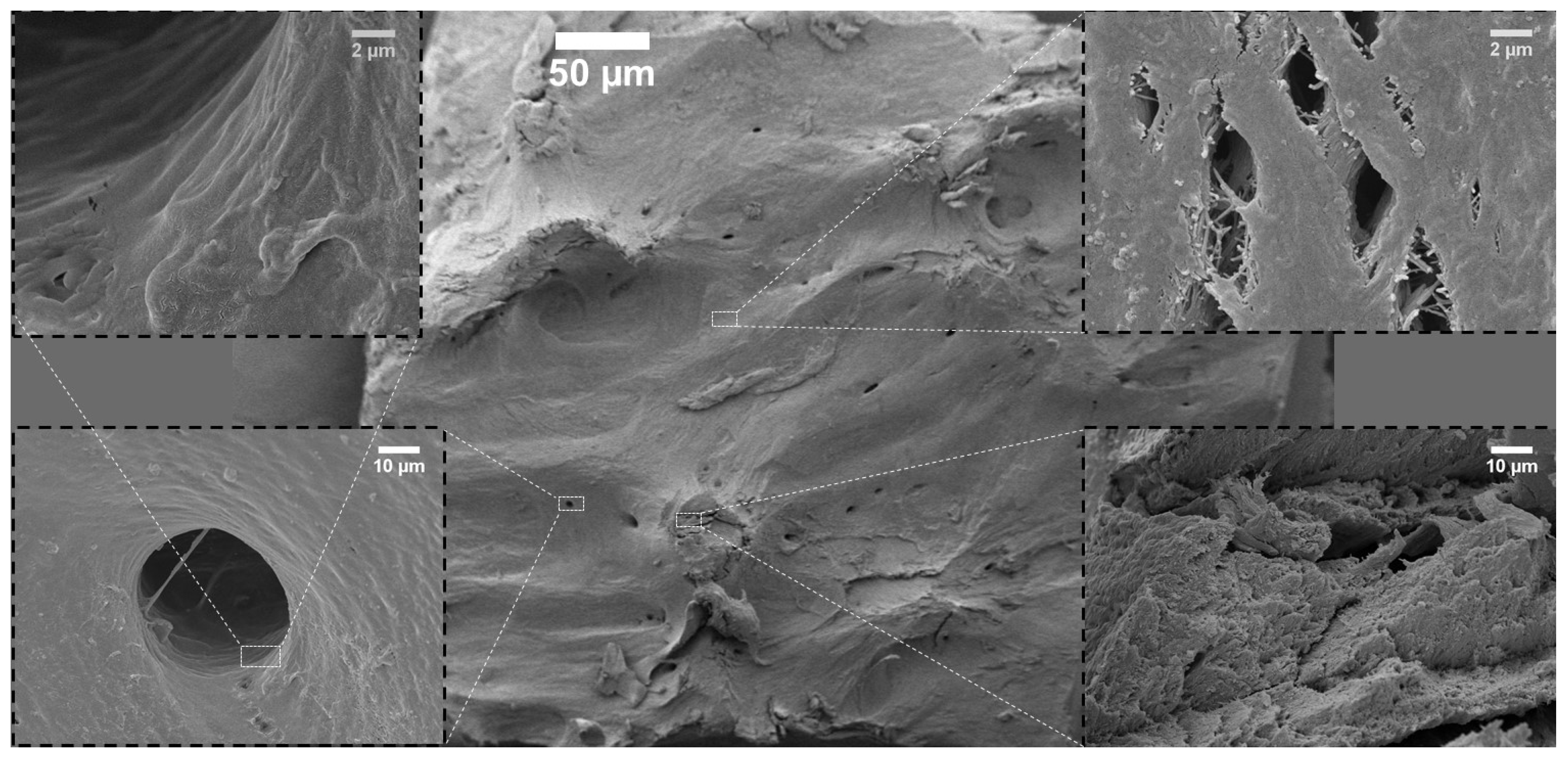Nanomaterials 12 03752 g002