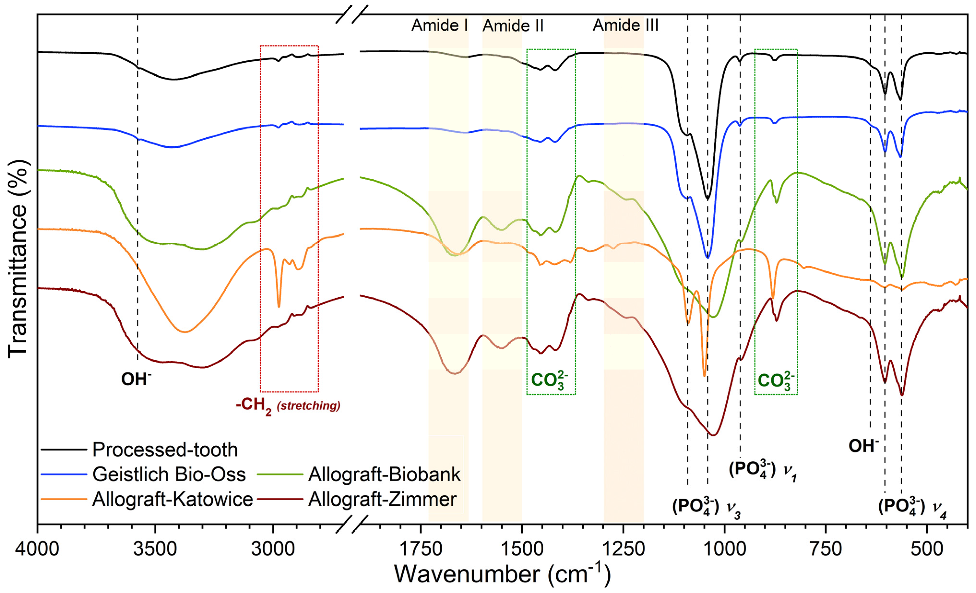 Nanomaterials 12 03752 g007